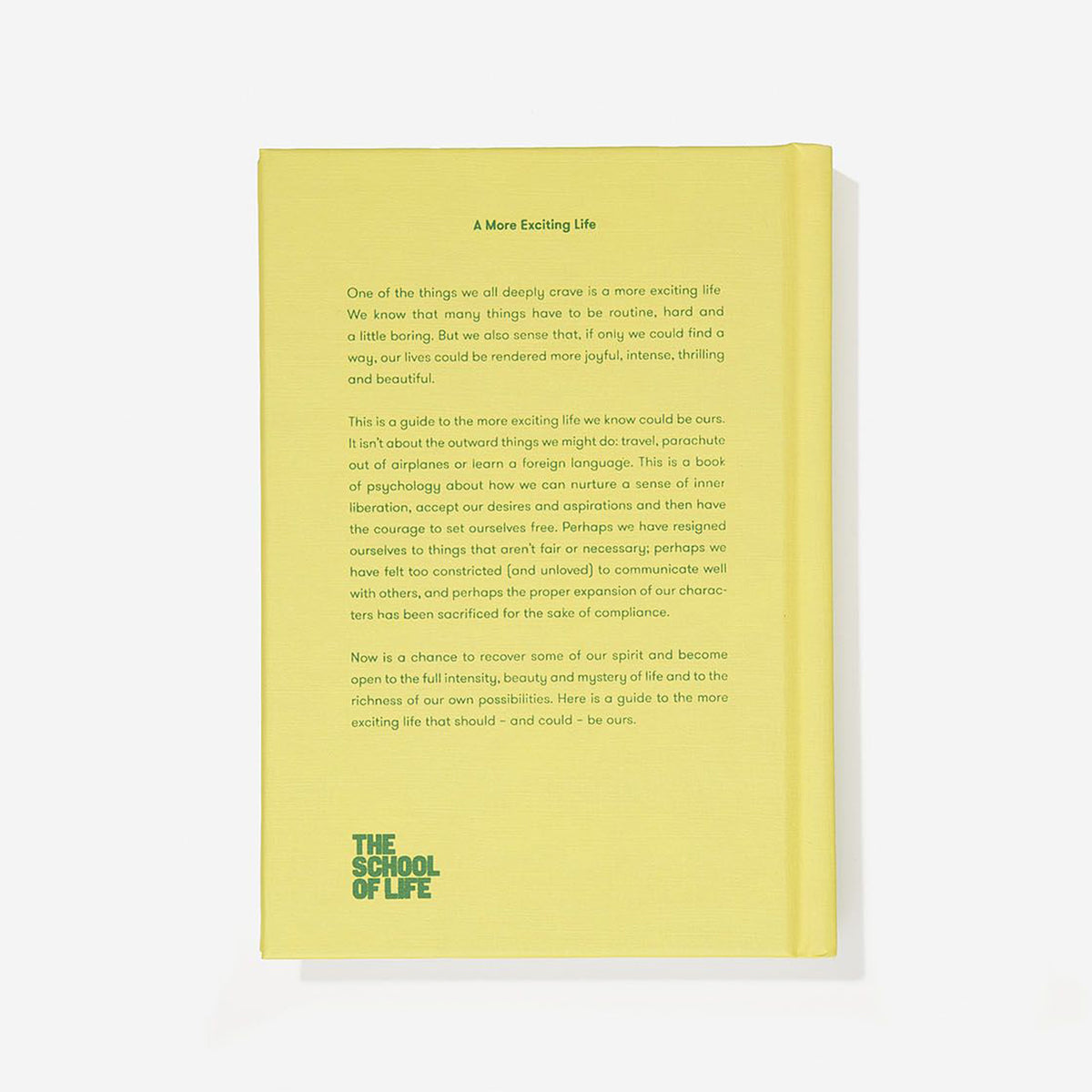 Book "A More Exciting Life" – Hardcover | The School of Life