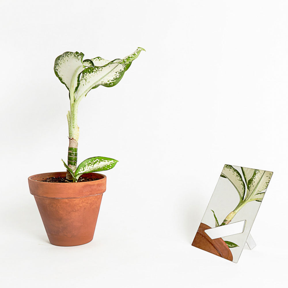 EASY MIRROR Mini - Spiegel | Jamie Wolfond | Good Thing