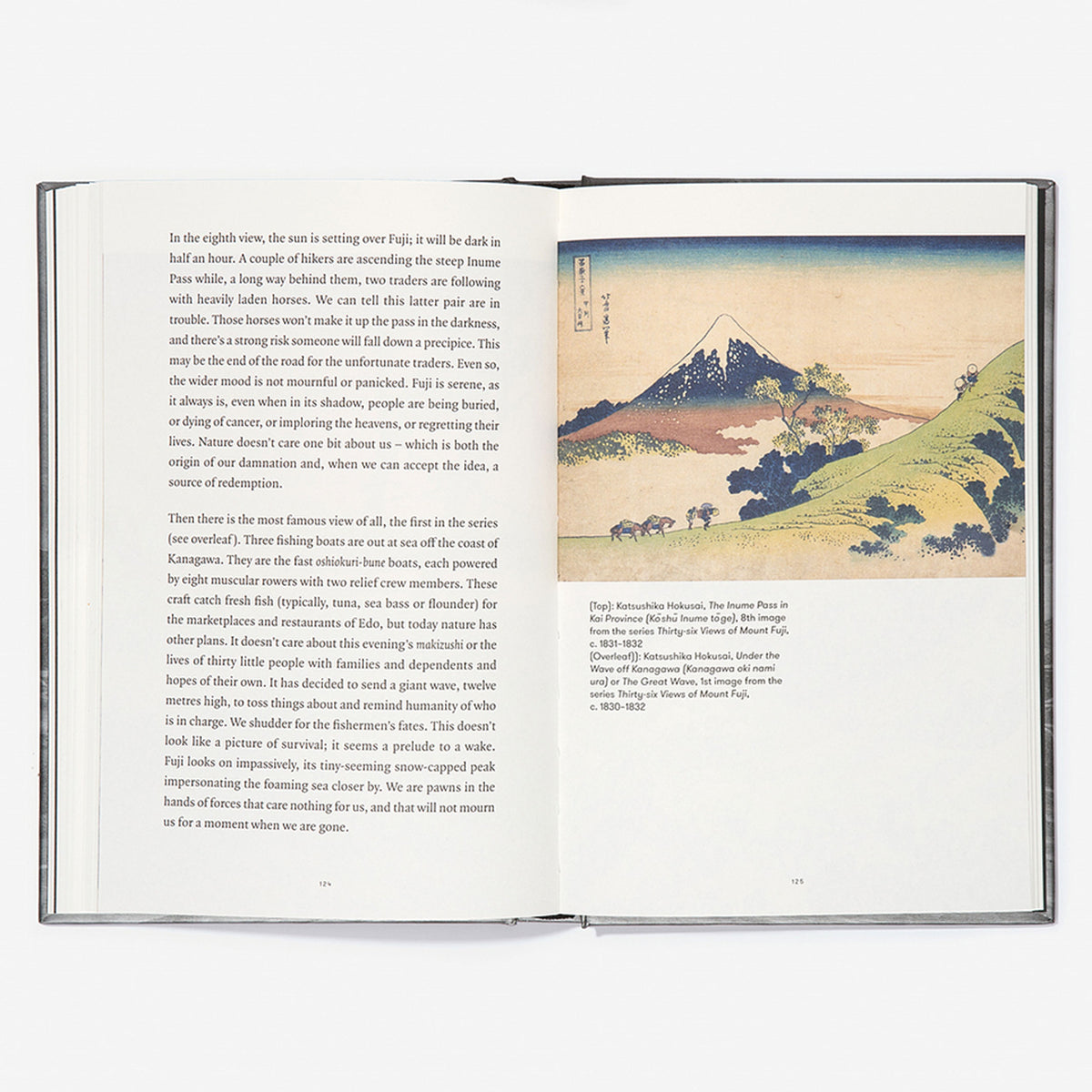 Book "Varieties of Melancholy" – Hardcover | The School of Life