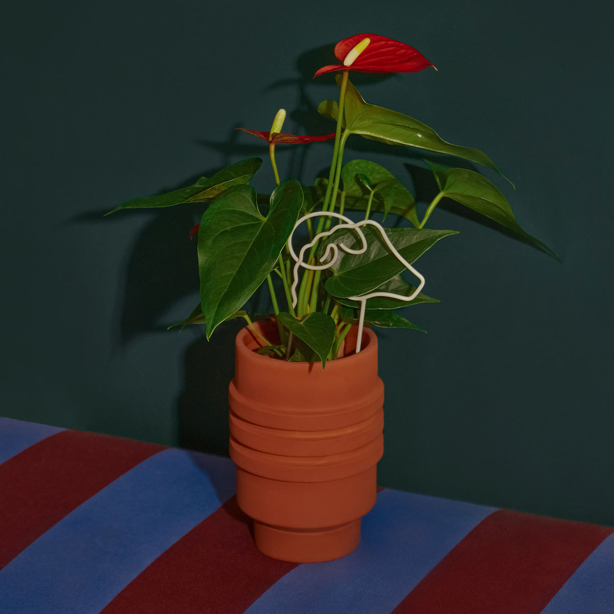 TREILLIS VÉGÉTAL | PLANTER DES ARBRES | Chen Chen et Kai Williams | Sont conscients