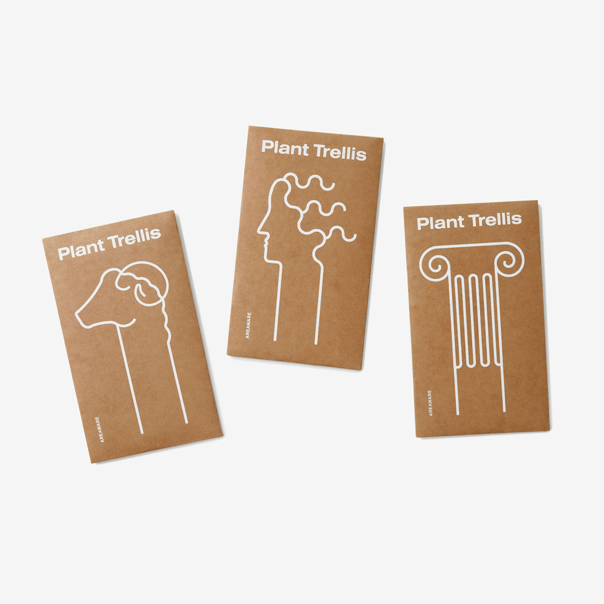 TREILLIS VÉGÉTAL | PLANTER DES ARBRES | Chen Chen et Kai Williams | Sont conscients