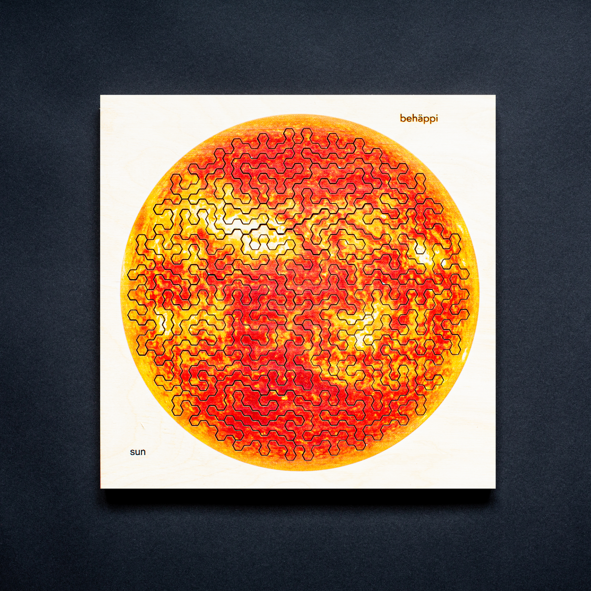 SOLEIL | PUZZLE EN BOIS IQ Extraordinaire | Série PLANÈTE | Niveau Difficile | Soyez heureux