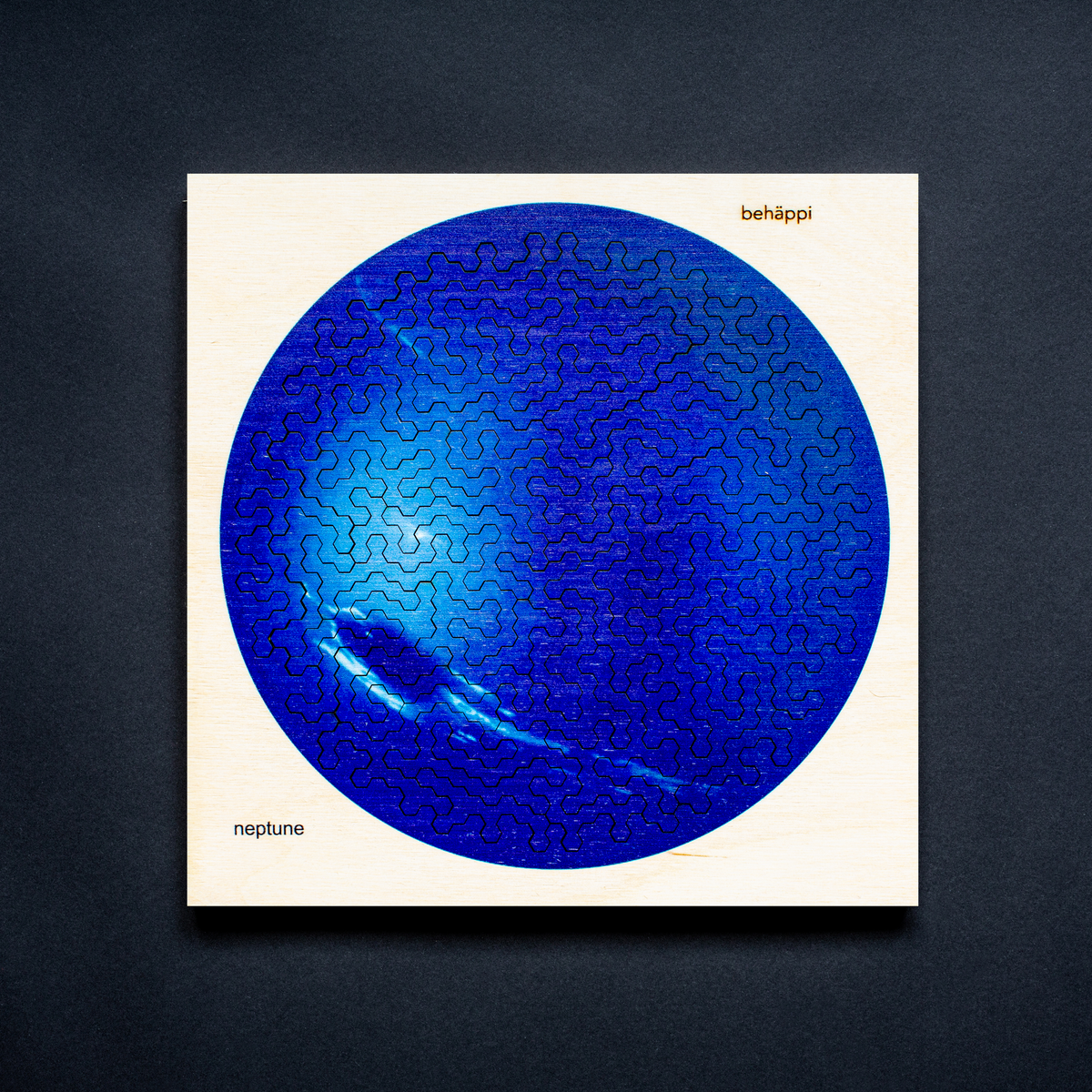 NEPTUN | Extraordinary Wooden IQ PUZZLES | Planetary Series | Level Hard | Behäppi