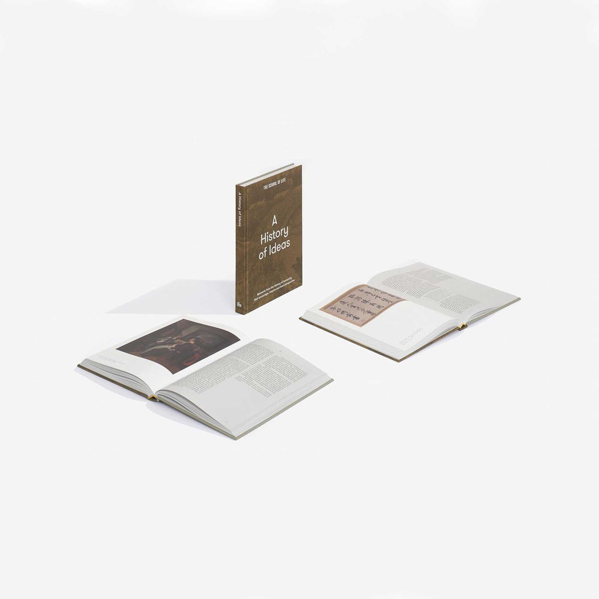 UNE HISTOIRE D'IDEES | Édition anglaise | The School of Life