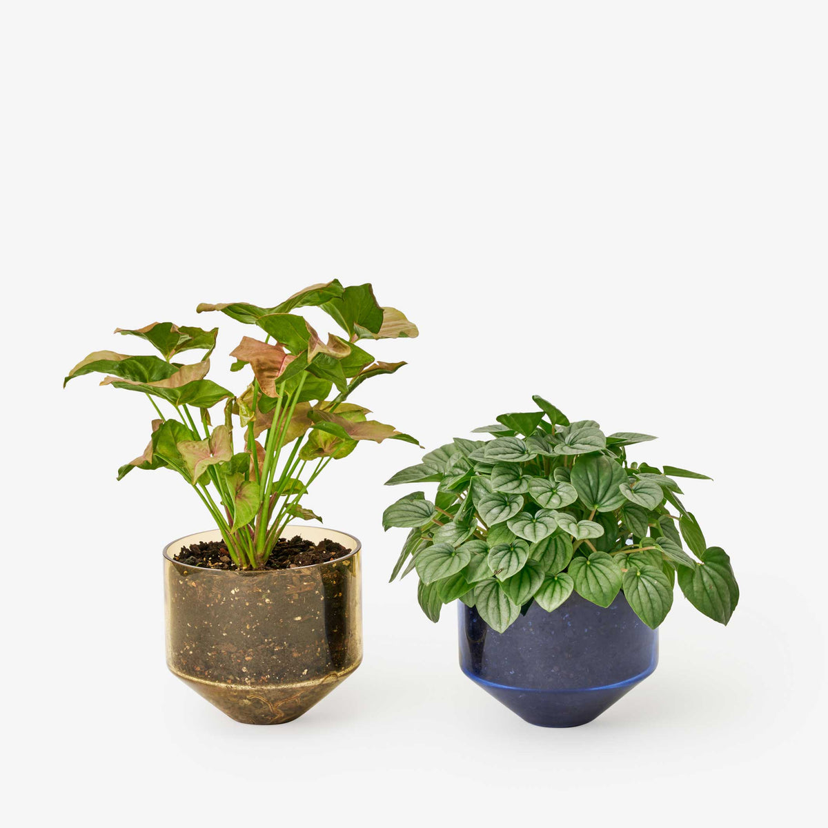 JARDINIÈRE MODÈLE TROIS | POT DE FLEUR ET JARDINIÈRE | D=15 cm | Sam Bigio | Sont conscients