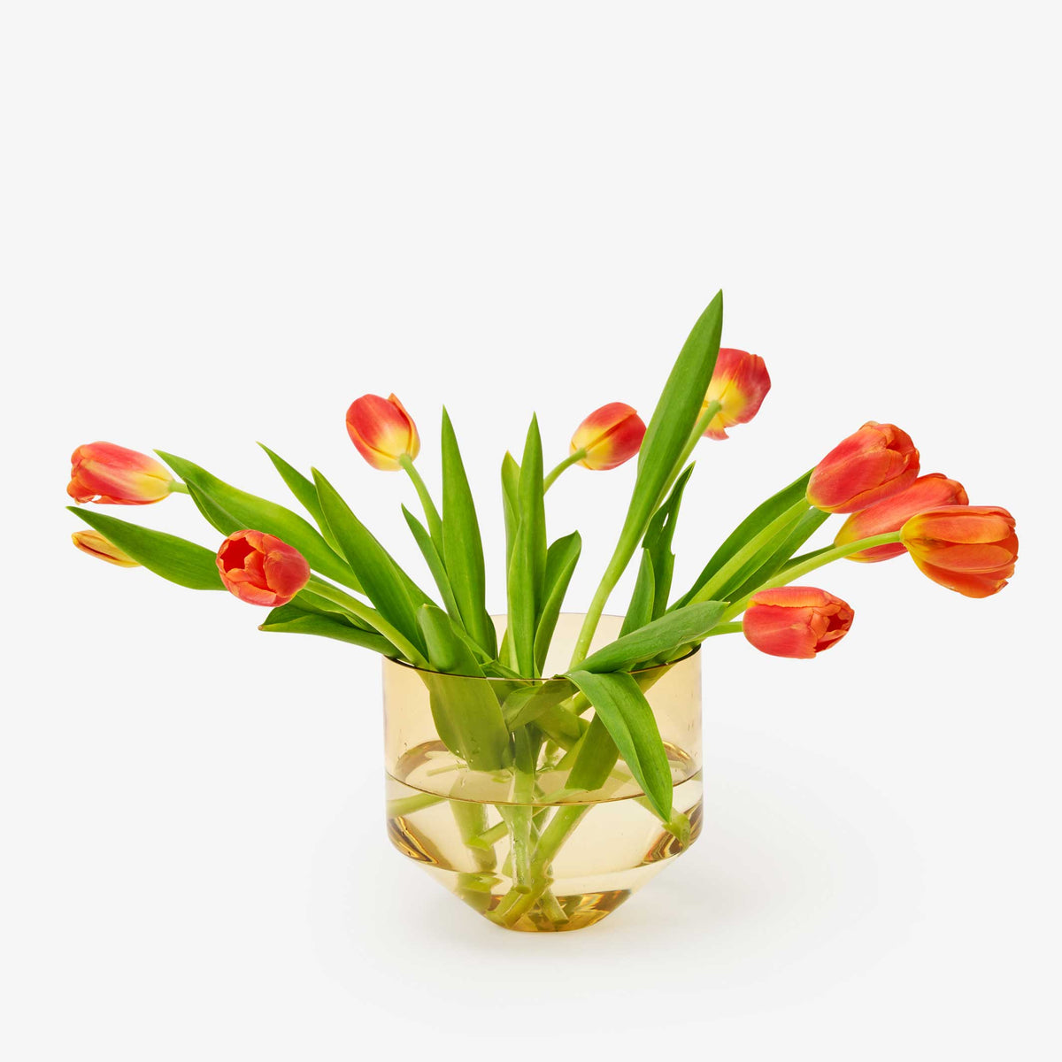 JARDINIÈRE MODÈLE TROIS | POT DE FLEUR ET JARDINIÈRE | D=15 cm | Sam Bigio | Sont conscients