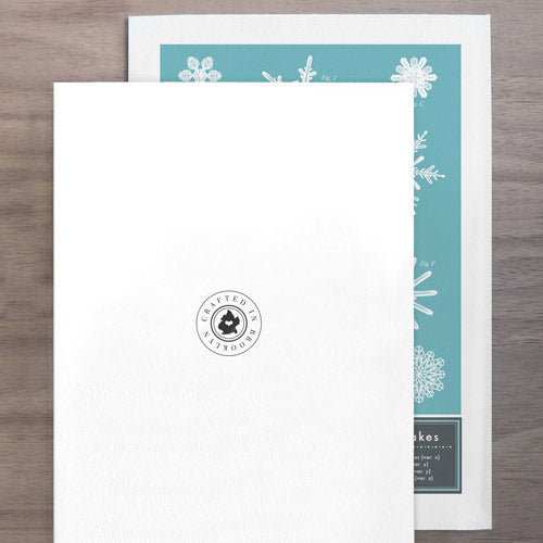 The FRACTAL FORMATIONS of SNOWFLAKES | GRUßKARTE | Pop Chart Lab