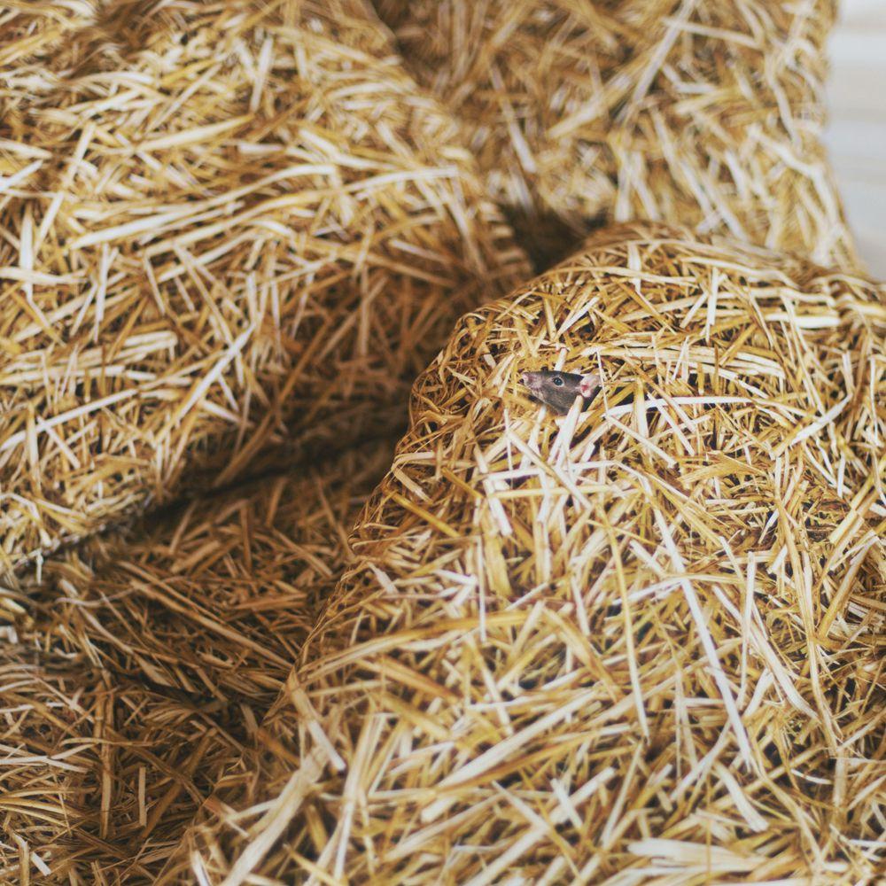 STROH - Bettwäsche | Foonka