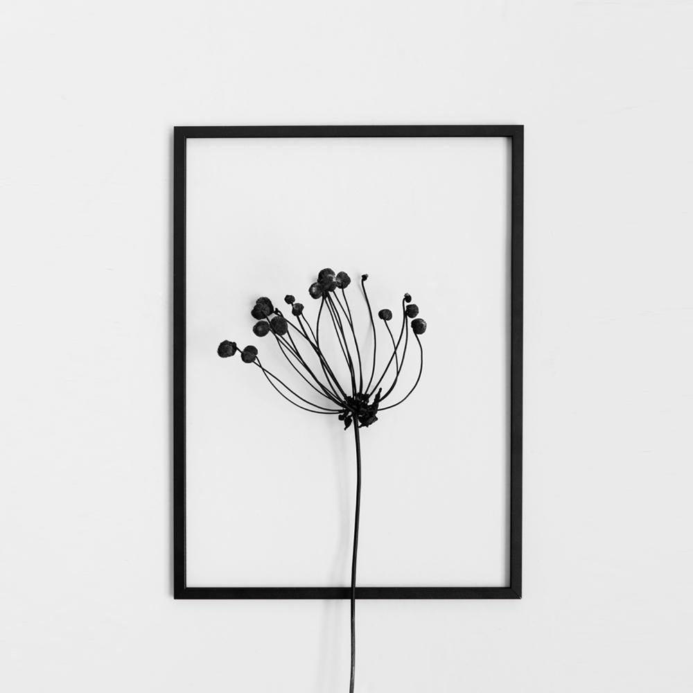 Cadre en aluminium - CADRE NOIR | Moebe
