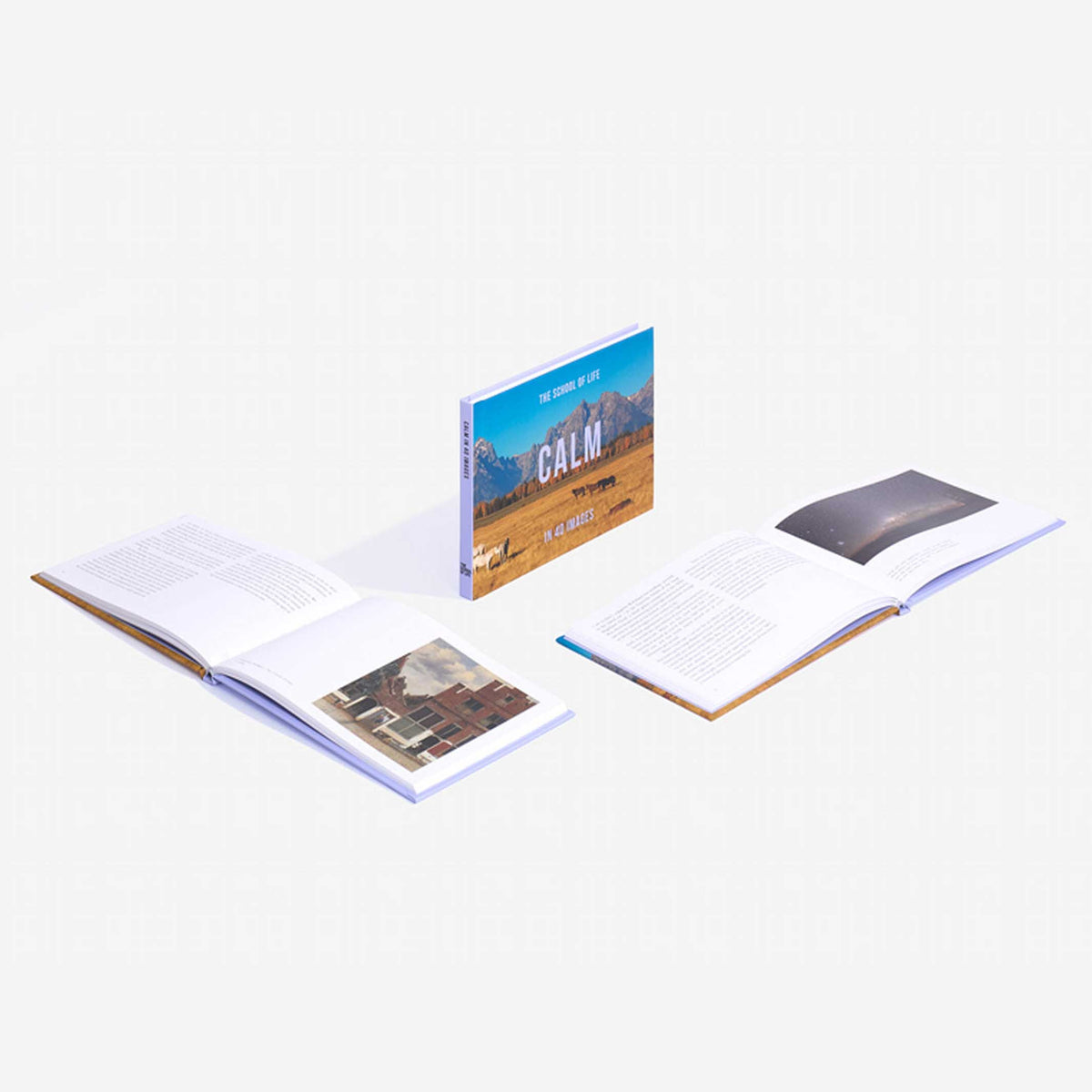 Book "Calm in 40 Images" – Hardcover | The School of Life