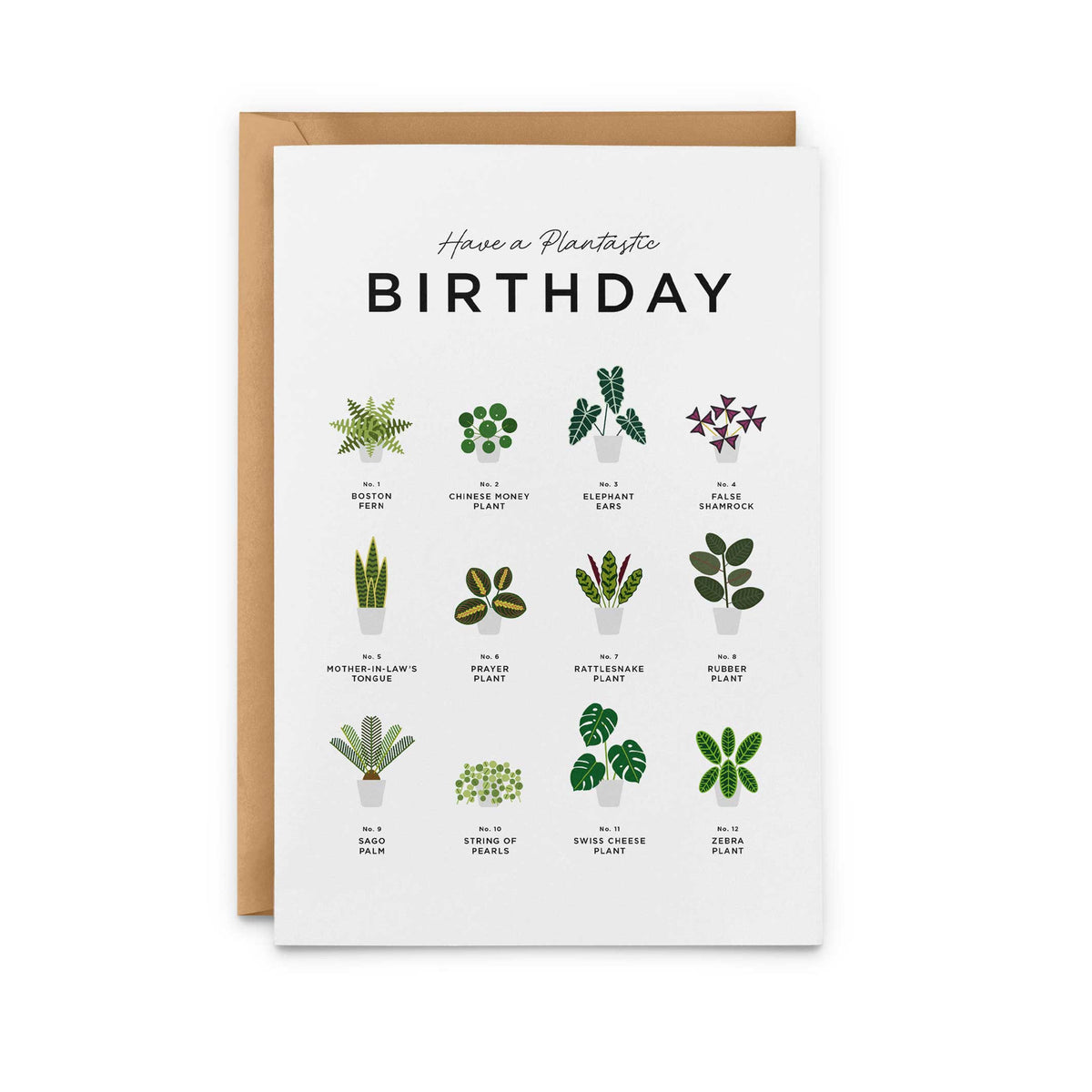 HAVE a PLANTastic BIRTHDAY – Geburtstags-Grusskarte A5 | Everlong Print