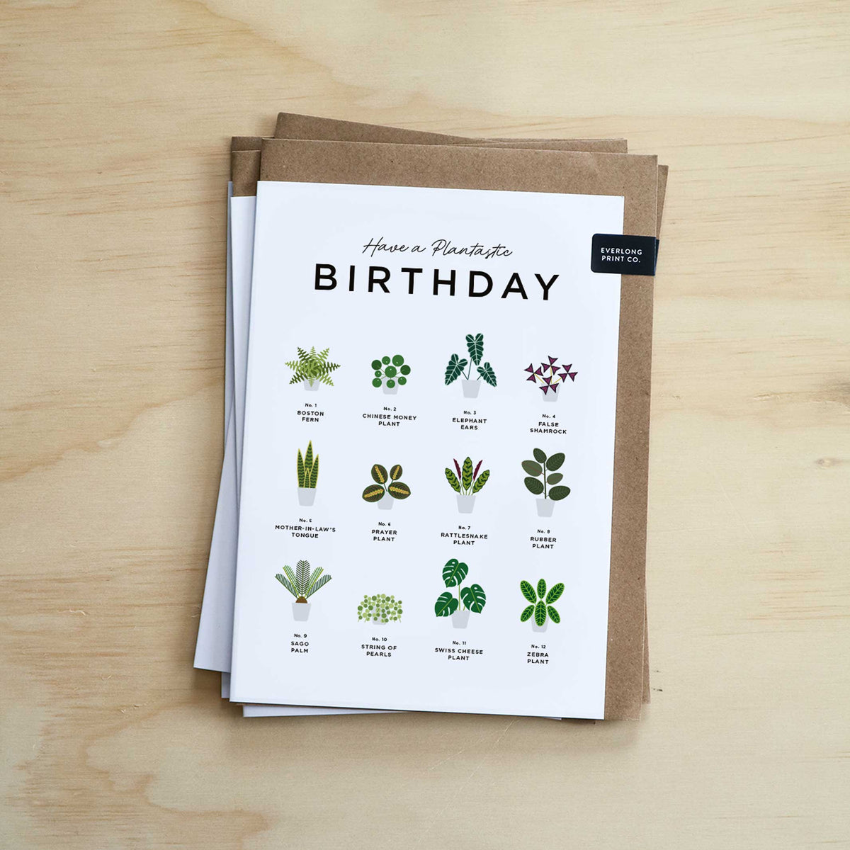 HAVE a PLANTastic BIRTHDAY – Geburtstags-Grusskarte A5 | Everlong Print