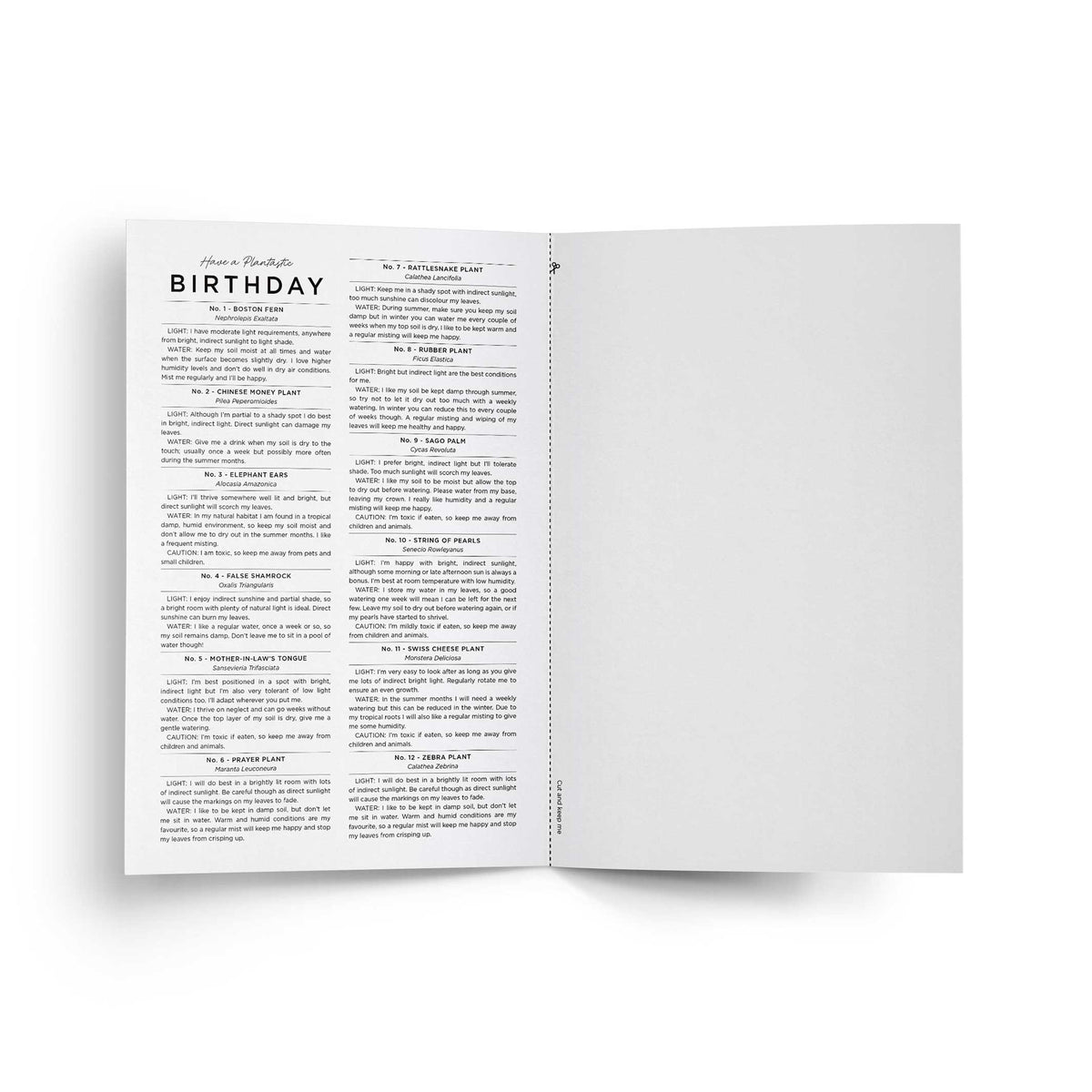 HAVE a PLANTastic BIRTHDAY – Geburtstags-Grusskarte A5 | Everlong Print
