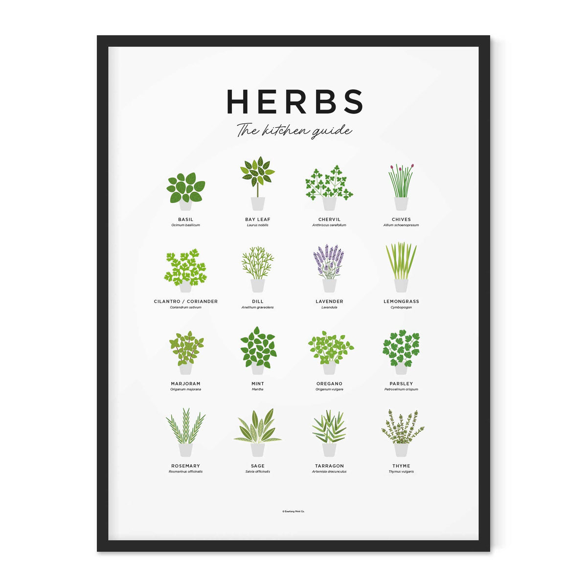 HERBS GUIDE - Kräuter Poster 40x50 cm | Everlong Print
