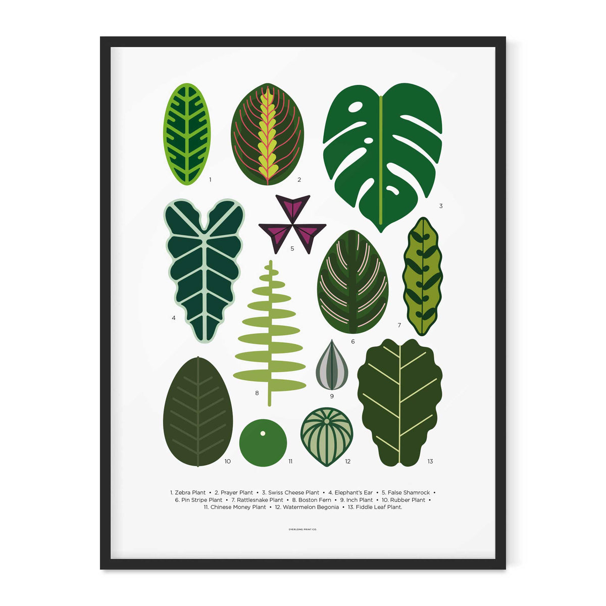 HOUSE PLANT LEAVES - Zimmerpflanzen-Blätter Poster 40x50 cm | Everlong Print