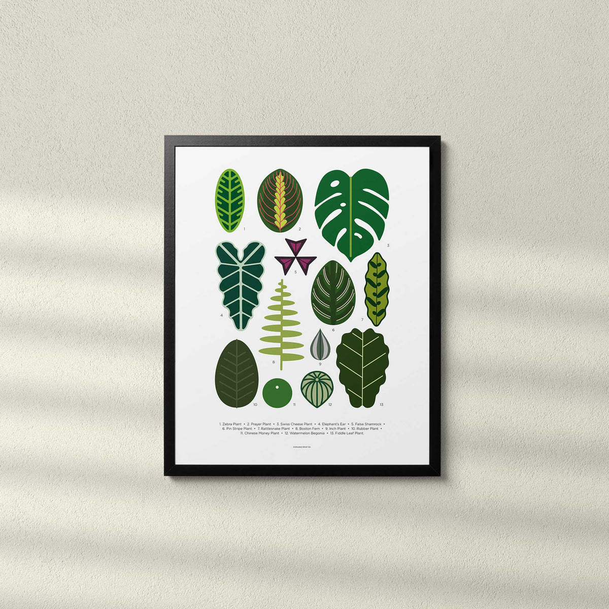 HOUSE PLANT LEAVES - Zimmerpflanzen-Blätter Poster 40x50 cm | Everlong Print