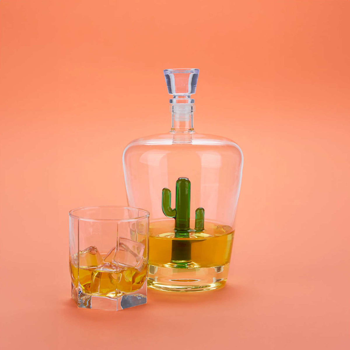 CACTUS - Bouteille et carafe à liqueur avec petit cactus vert - 1 litre | BALVI