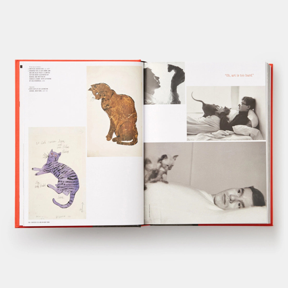 ANDY WARHOL: "GIANT" SIZE - Book | Dave Hickey | PHAIDON Verlag