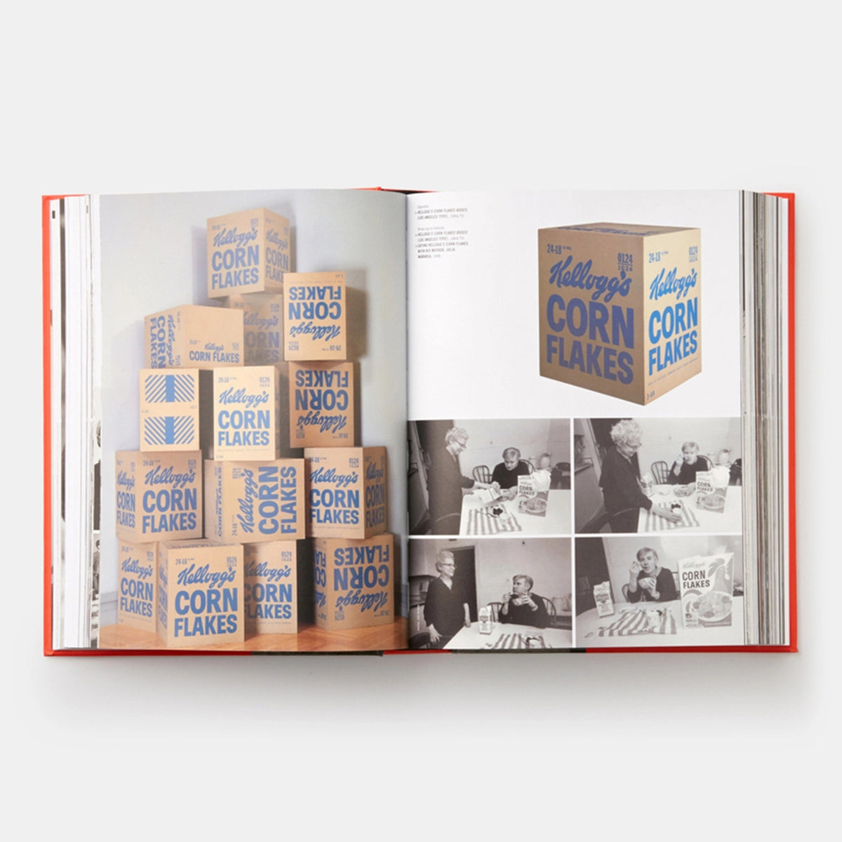 ANDY WARHOL: "GIANT" SIZE - Book | Dave Hickey | PHAIDON Verlag