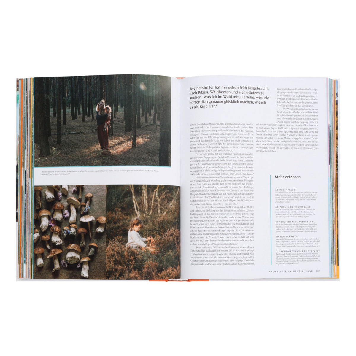 Buch Familienabenteuer – Hardcover · 256 Seiten | Gestalten