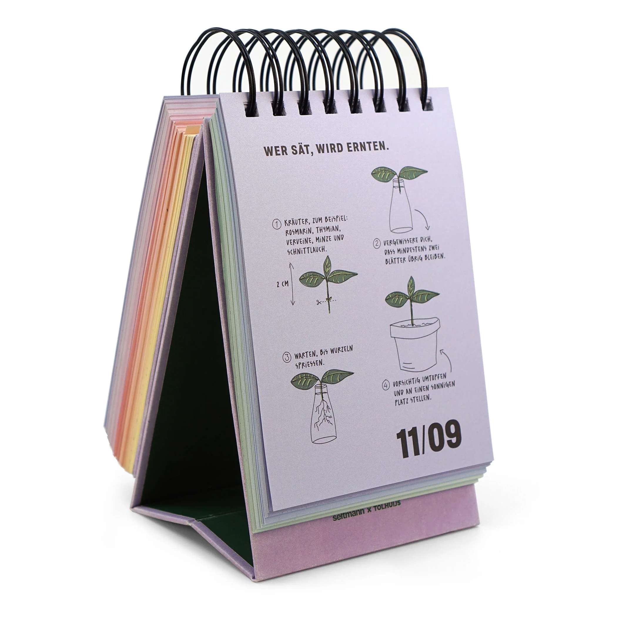 DER GUTE KALENDER - Inspirationen & Tipps für eine bessere Welt - Zeitloser Tischkalender mit Karton-Aufsteller - 13x16 cm | seltmann+söhne
