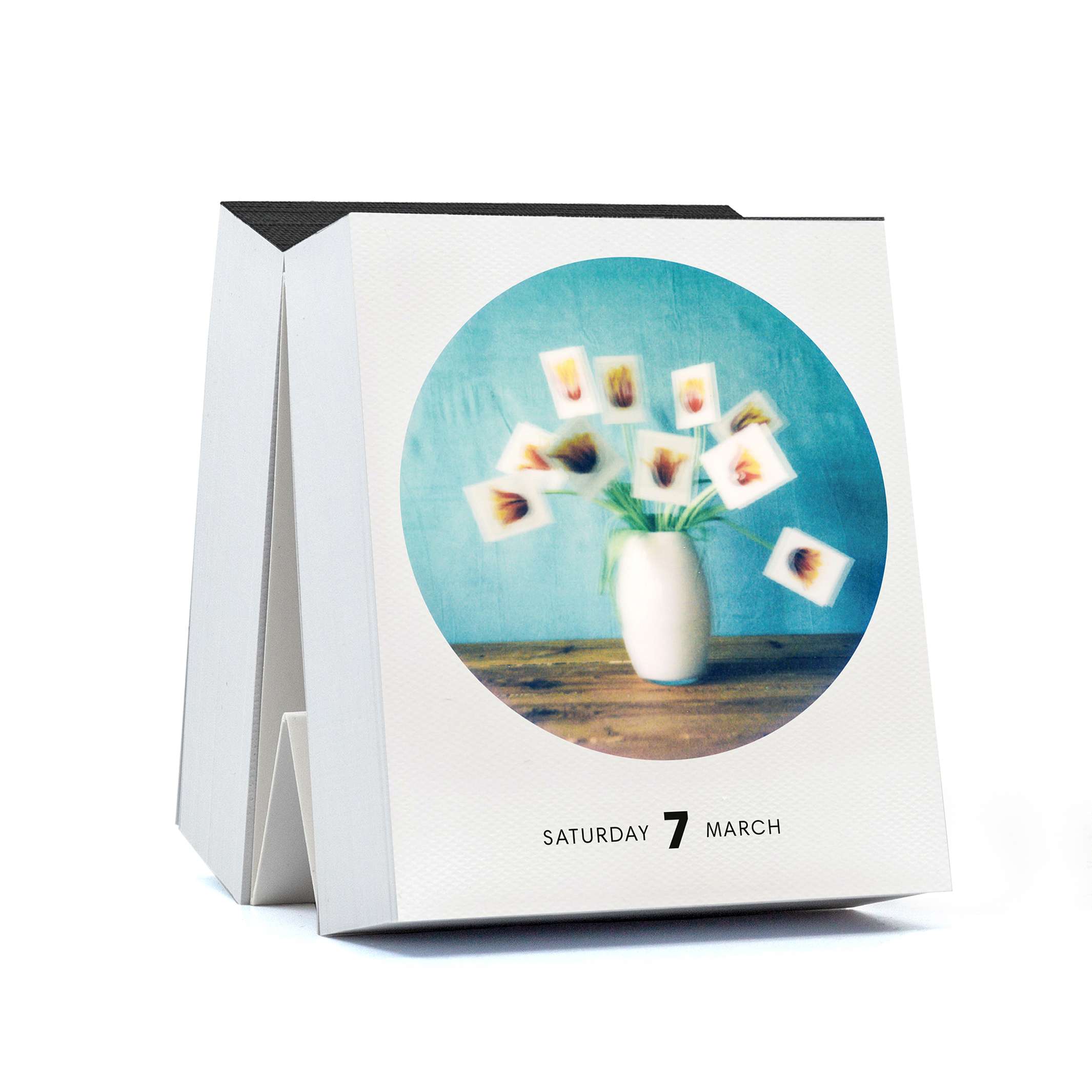 PHOTODARIUM 2026 - Polaroid Tages‑Abreiß-Kalender - 9x11 cm | seltmann+söhne
