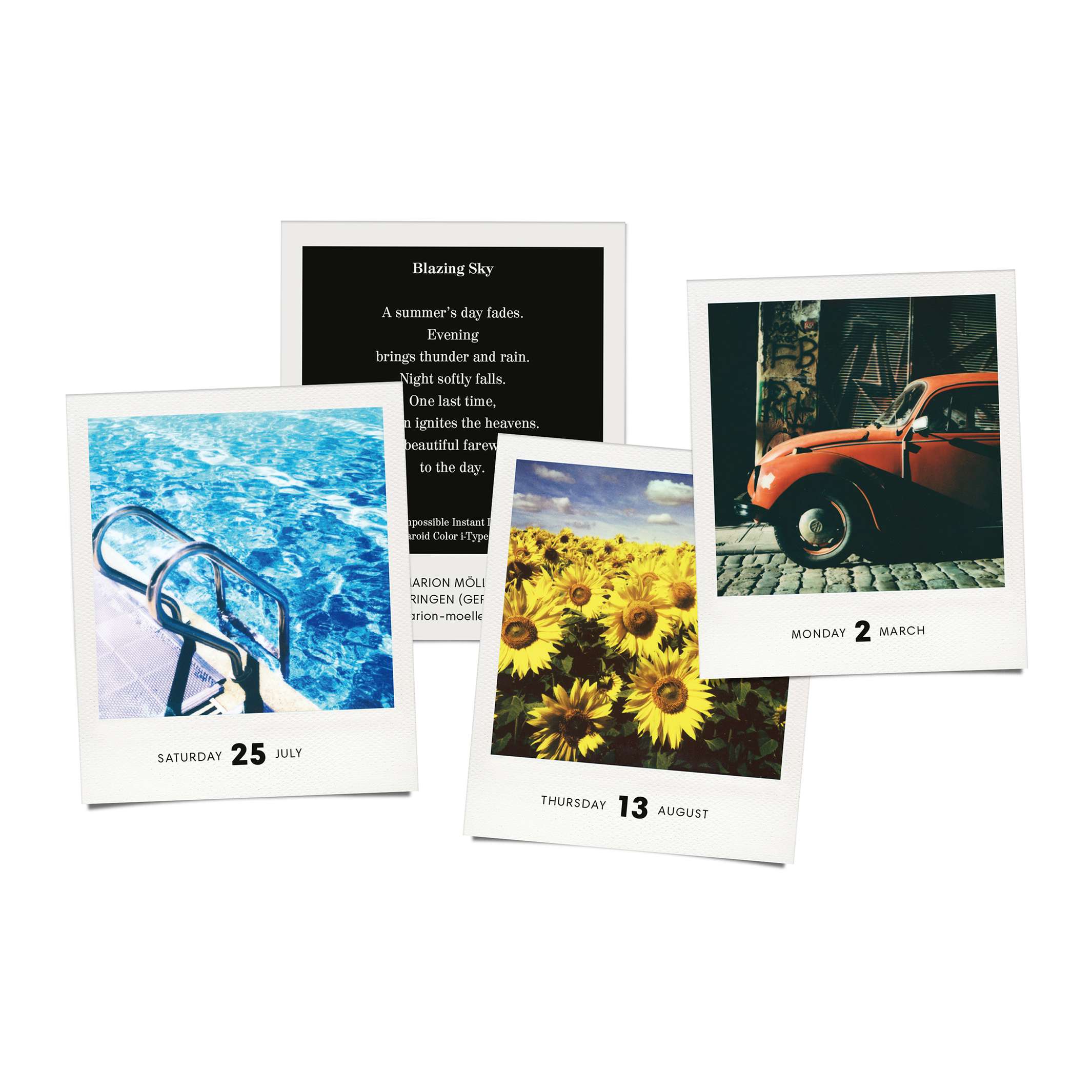 PHOTODARIUM 2026 - Polaroid Tages‑Abreiß-Kalender - 9x11 cm | seltmann+söhne