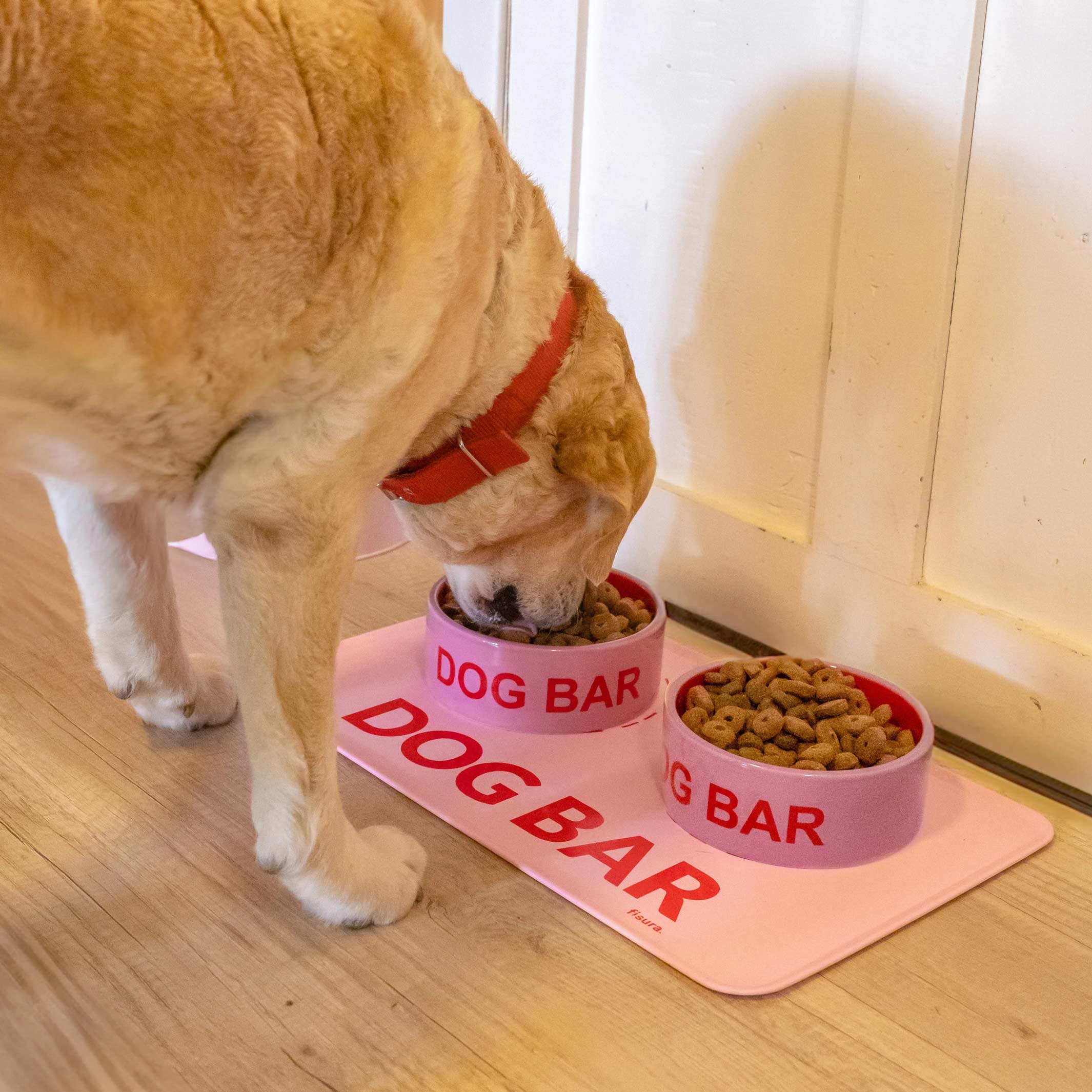 DOG BAR - Pink Feeding Mat for Pets - 42x30 cm | Fisura