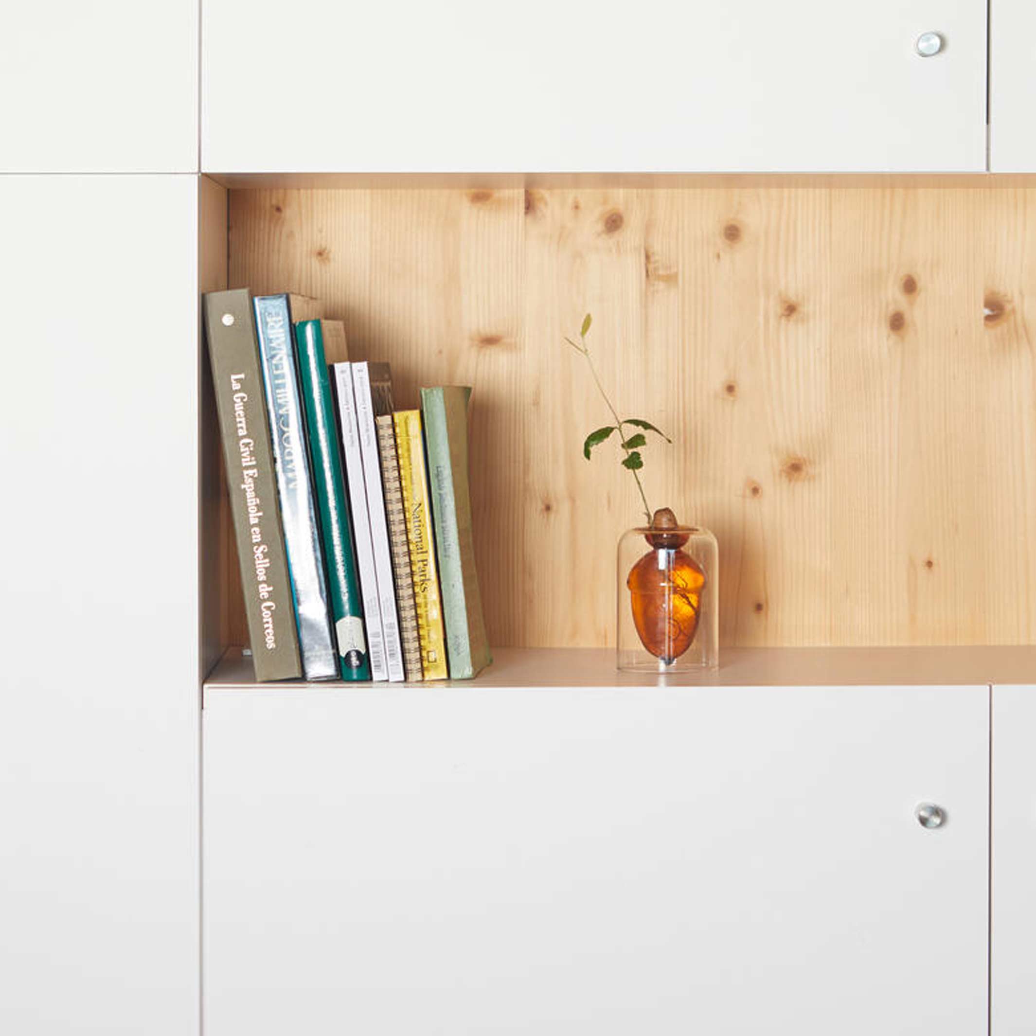 ACORN VASE - doppelwandiges Keimglas mit Eichel - H=12 cm | BALVI