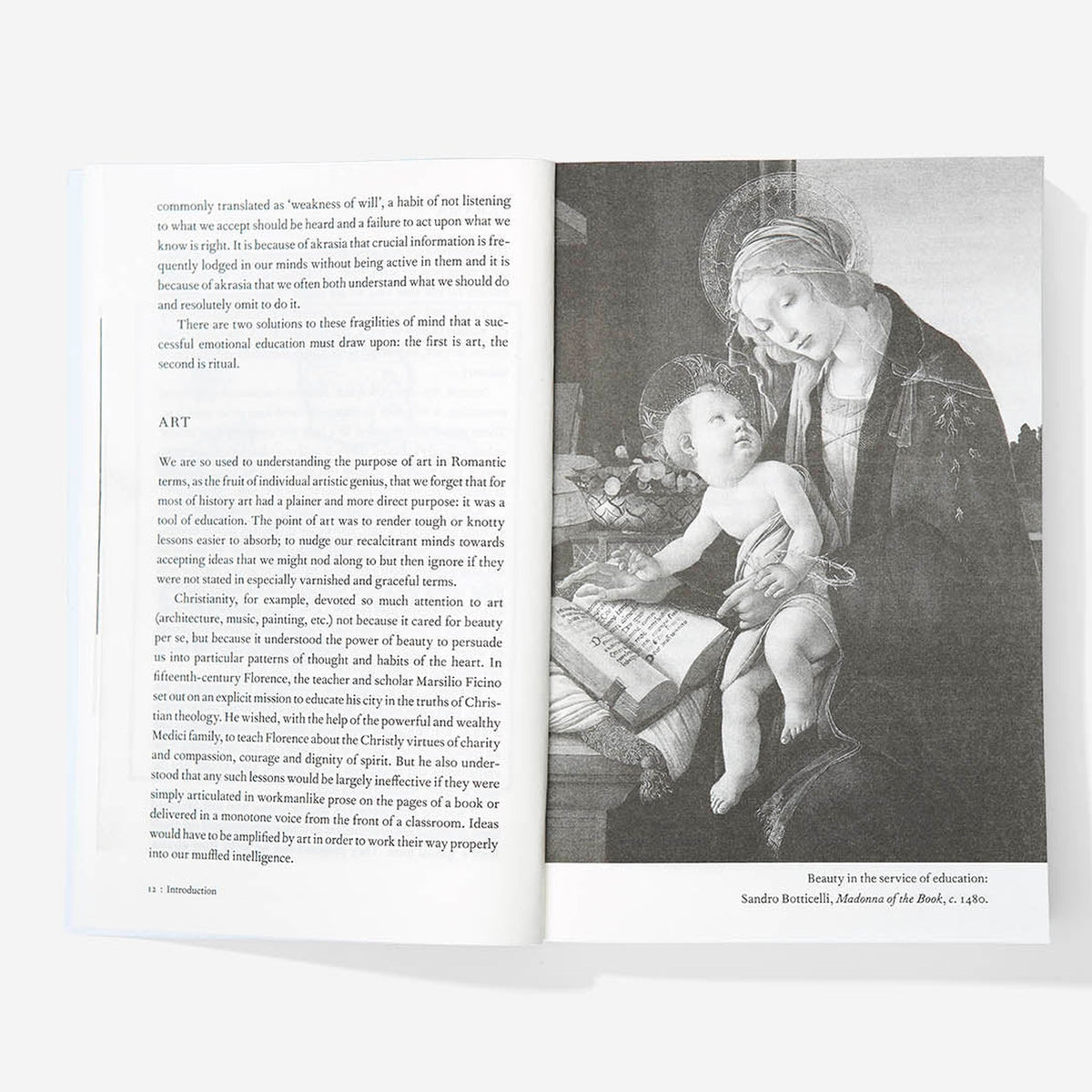 Paperback "An Emotional Education" | The School of Life