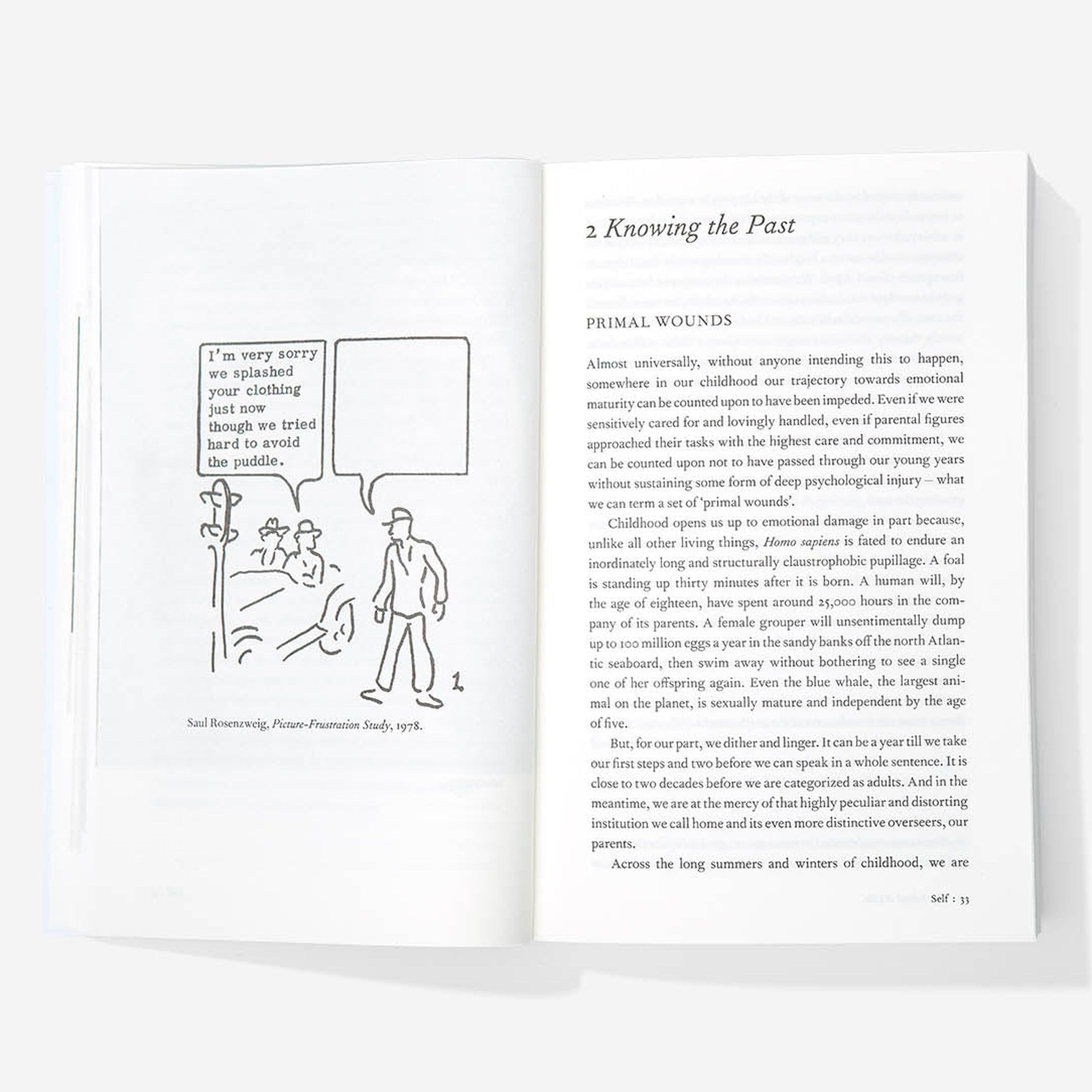 Taschenbuch "An Emotional Education" – Englisch | The School of Life