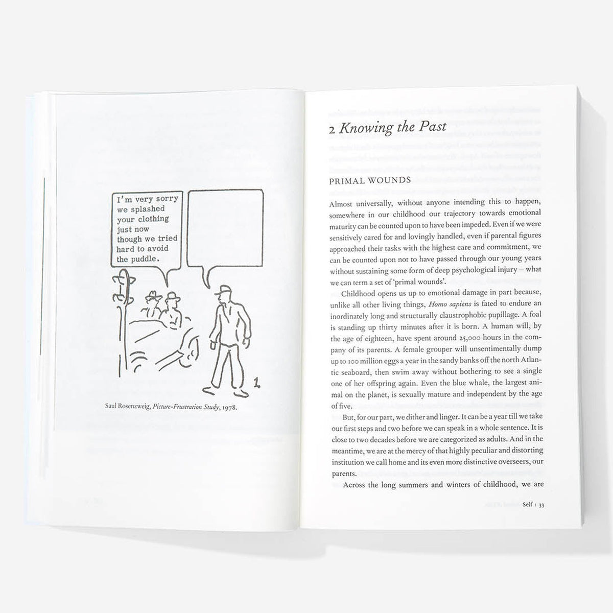 Paperback "An Emotional Education" | The School of Life