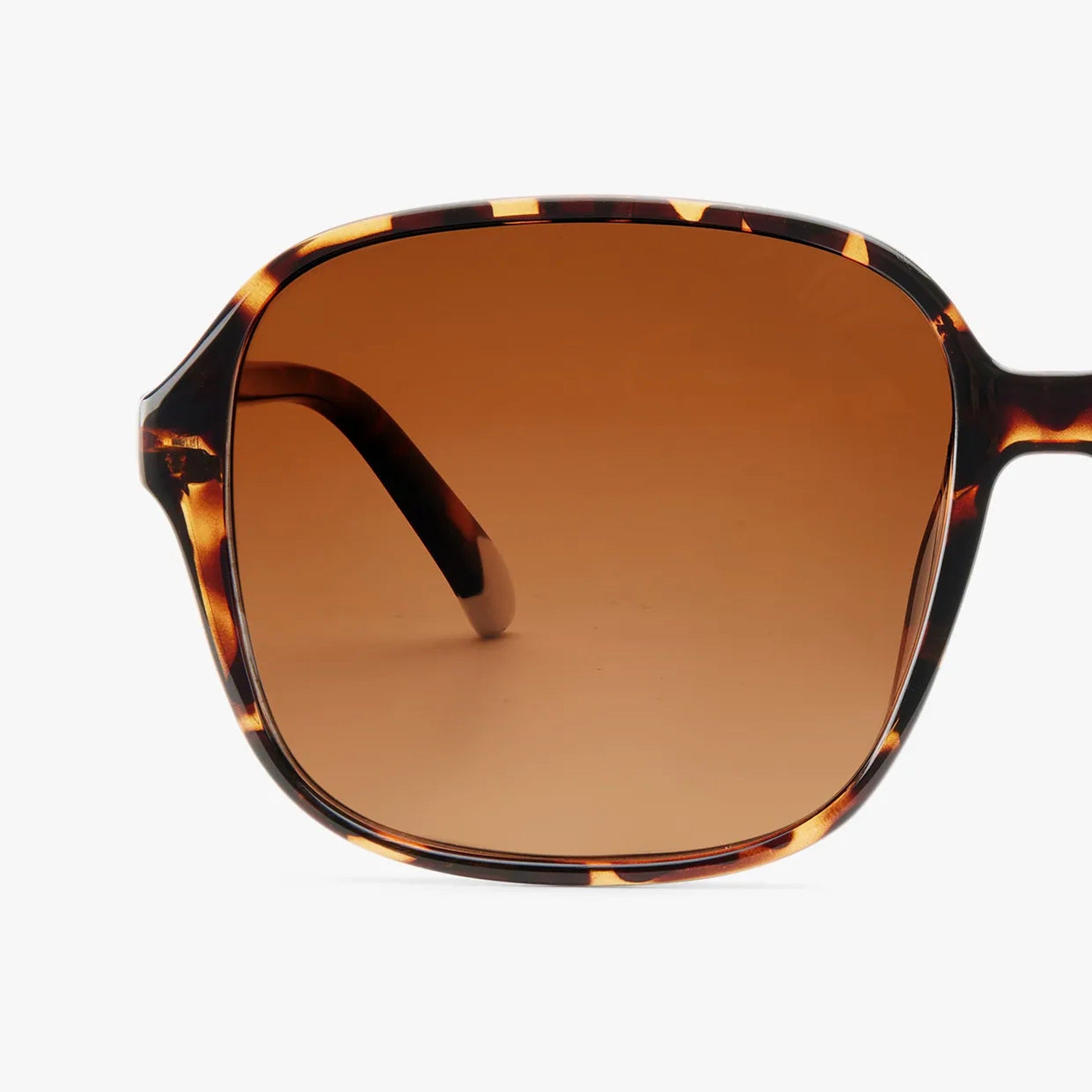 Sonnenbrille Pascal – Havanna · polarisiert | Barner