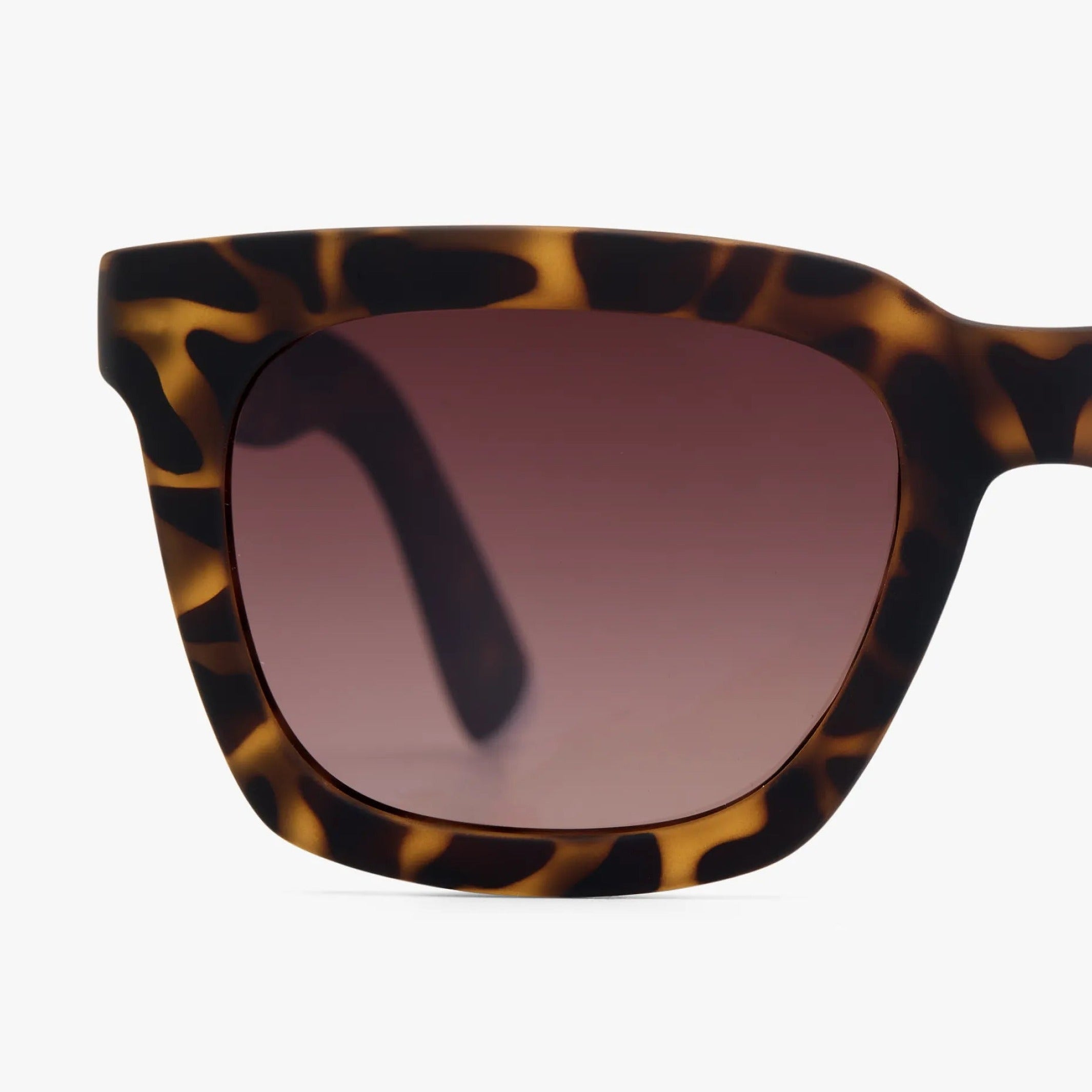 Sonnenbrille Max – Havanna · Amber · polarisiert | Barner