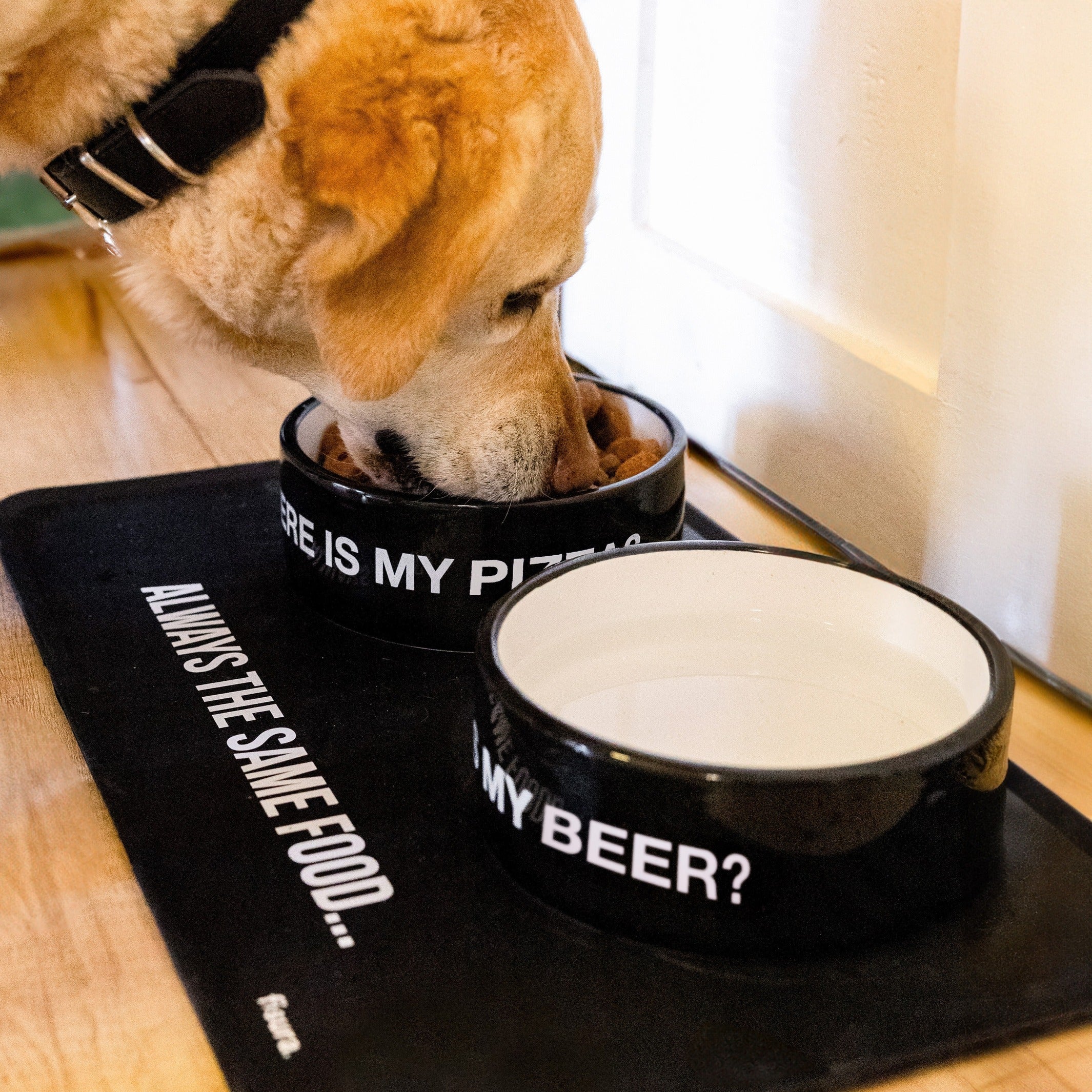 Hundenapf "Where is my beer?" – Keramik · Ø 16 cm · 750 ml | Fisura