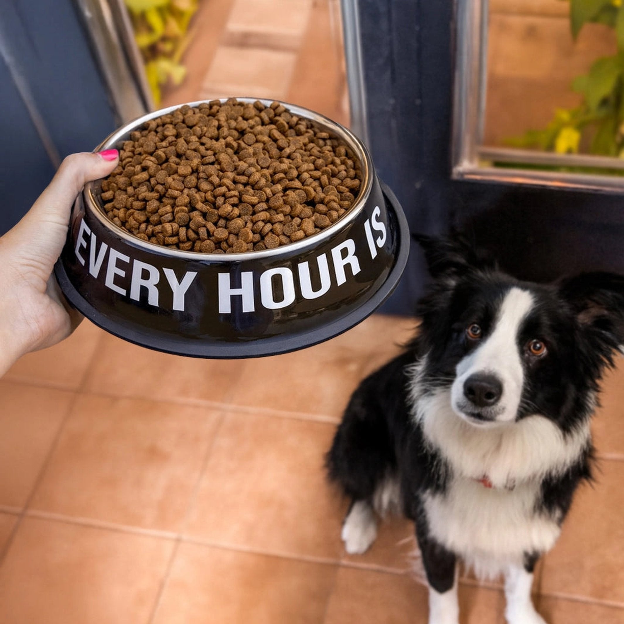 Dog Bowl Set "Happy Hour" – Stainless Steel · 500 + 1000 ml | Fisura