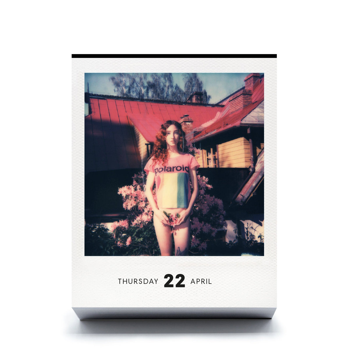 Polaroid-Kalender Photodarium 2027 – 365 Sofortbilder | seltmann+söhne