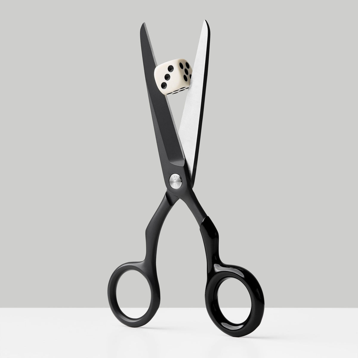 Design-Schere Spectra – Edelstahl · 16,8 cm | Craighill