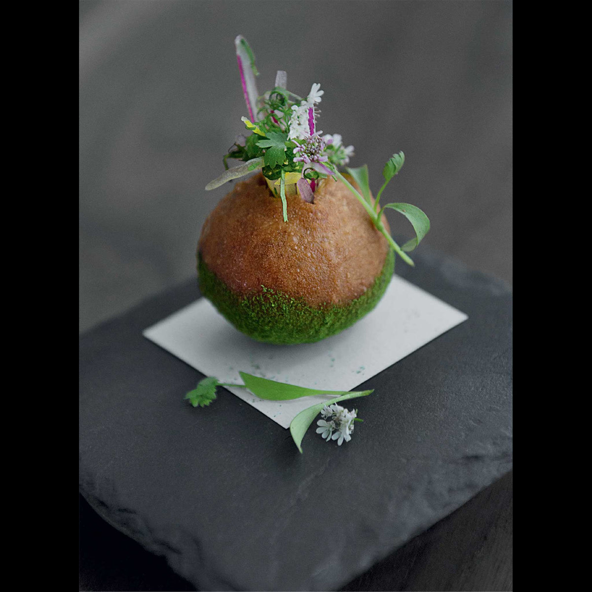 HISTOIRE SUR UNE ASSIETTE | L'art délicat du dressage des plats | LIVRE | Maison d'édition Gestalten