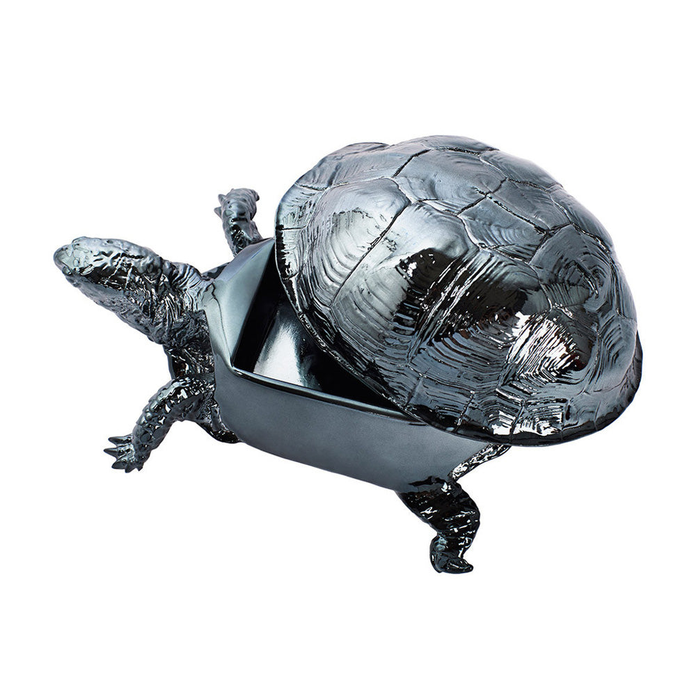 BOÎTE TORTUES | Harry Allen | Sont conscients