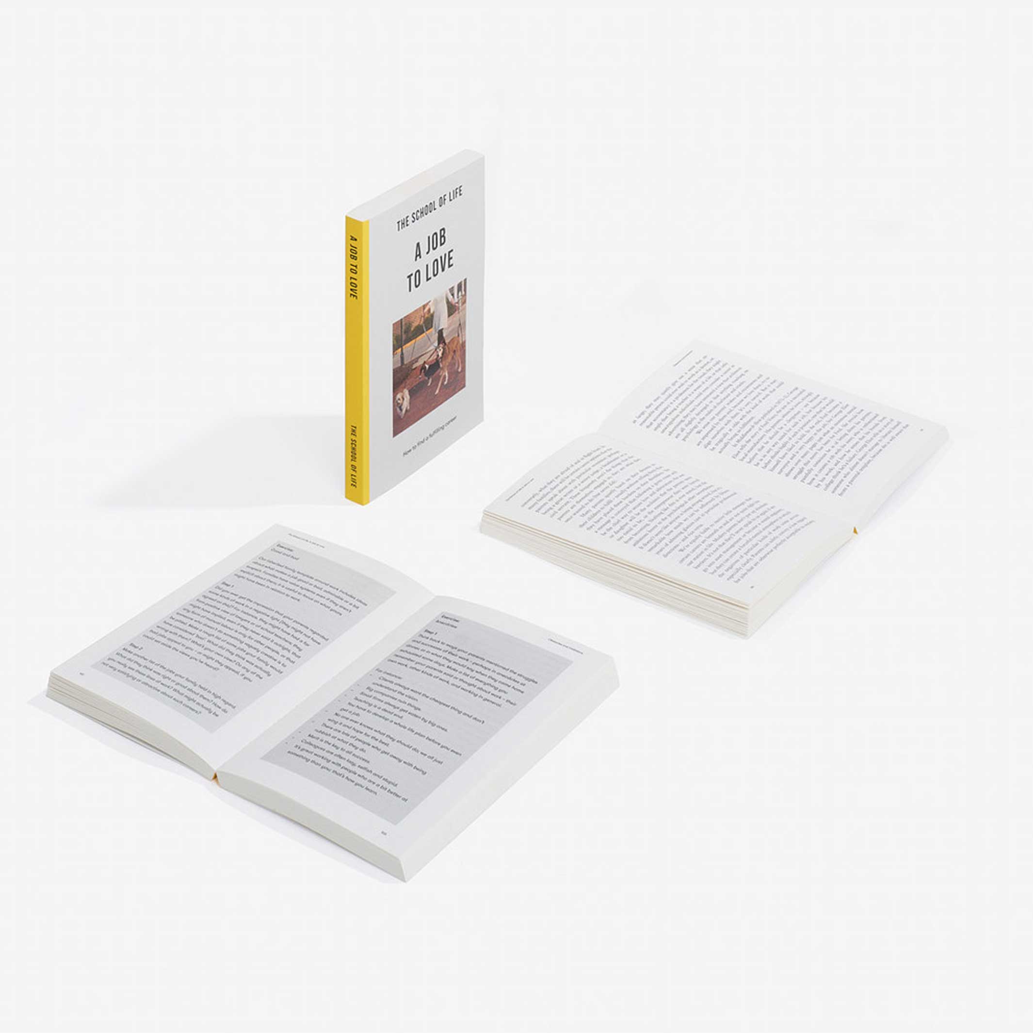 UN TRAVAIL À AIMER | PAPIER | Édition anglaise | The School of Life