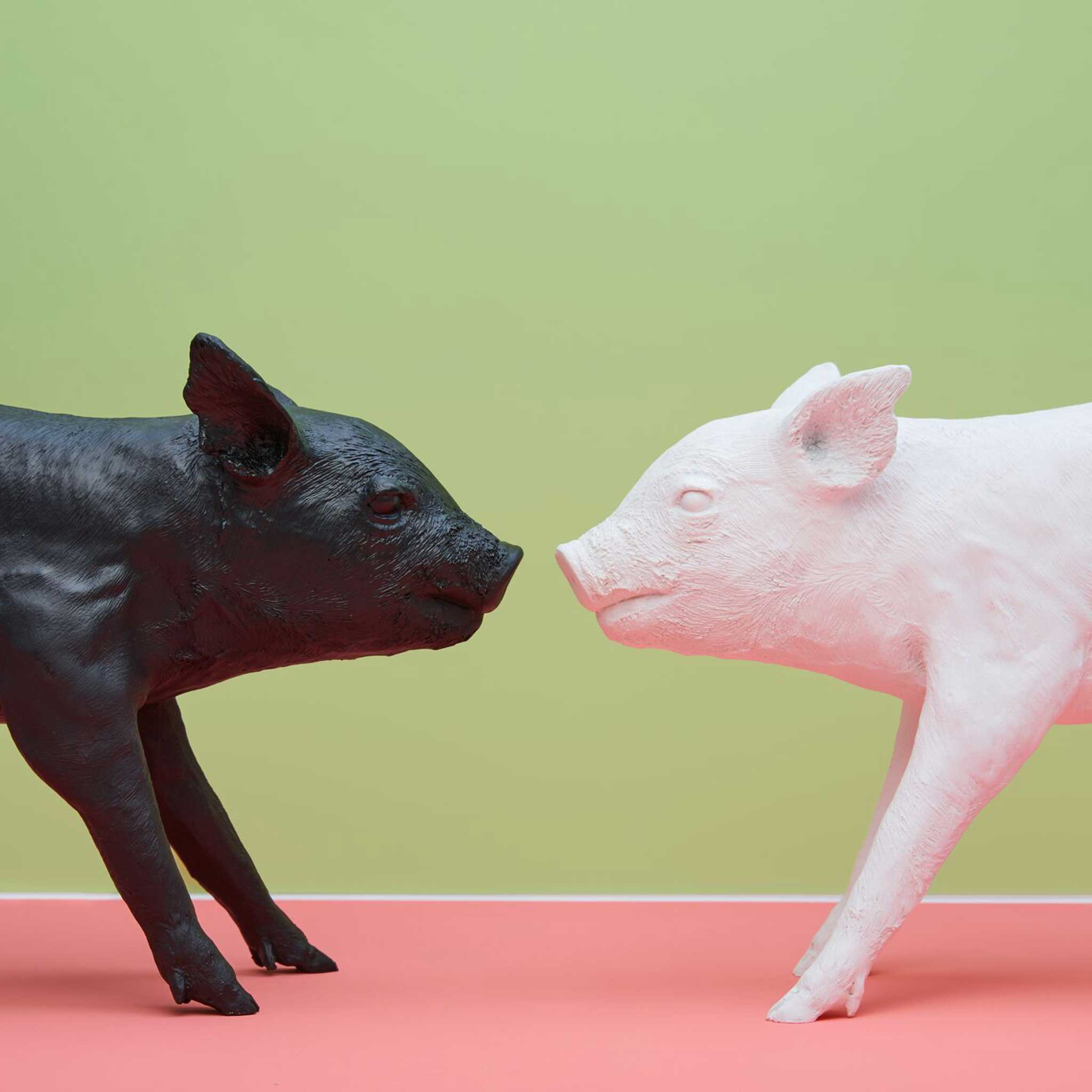 BANK in form of a PIG - huge Piggybank | Harry Allen | Areaware
