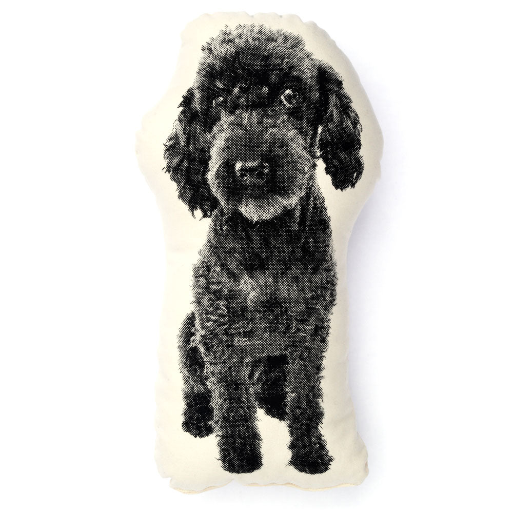 CANICHE Mini | Oreillers Faune Animal | Ross Menuez | Connaissance de la zone