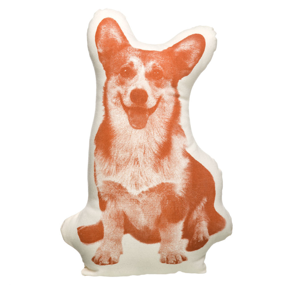 CORGI Mini | Oreillers Faune Animal | Ross Menuez | Connaissance de la zone