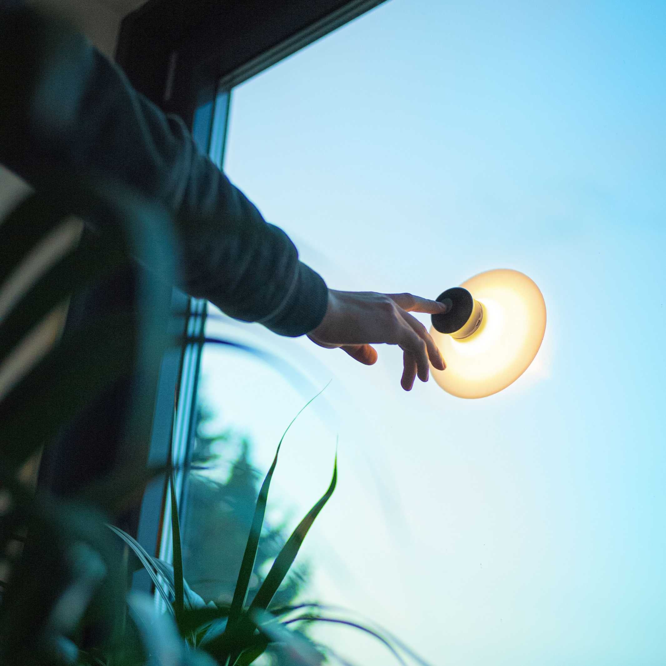 Lampe à piles avec ventouse | Néozoon