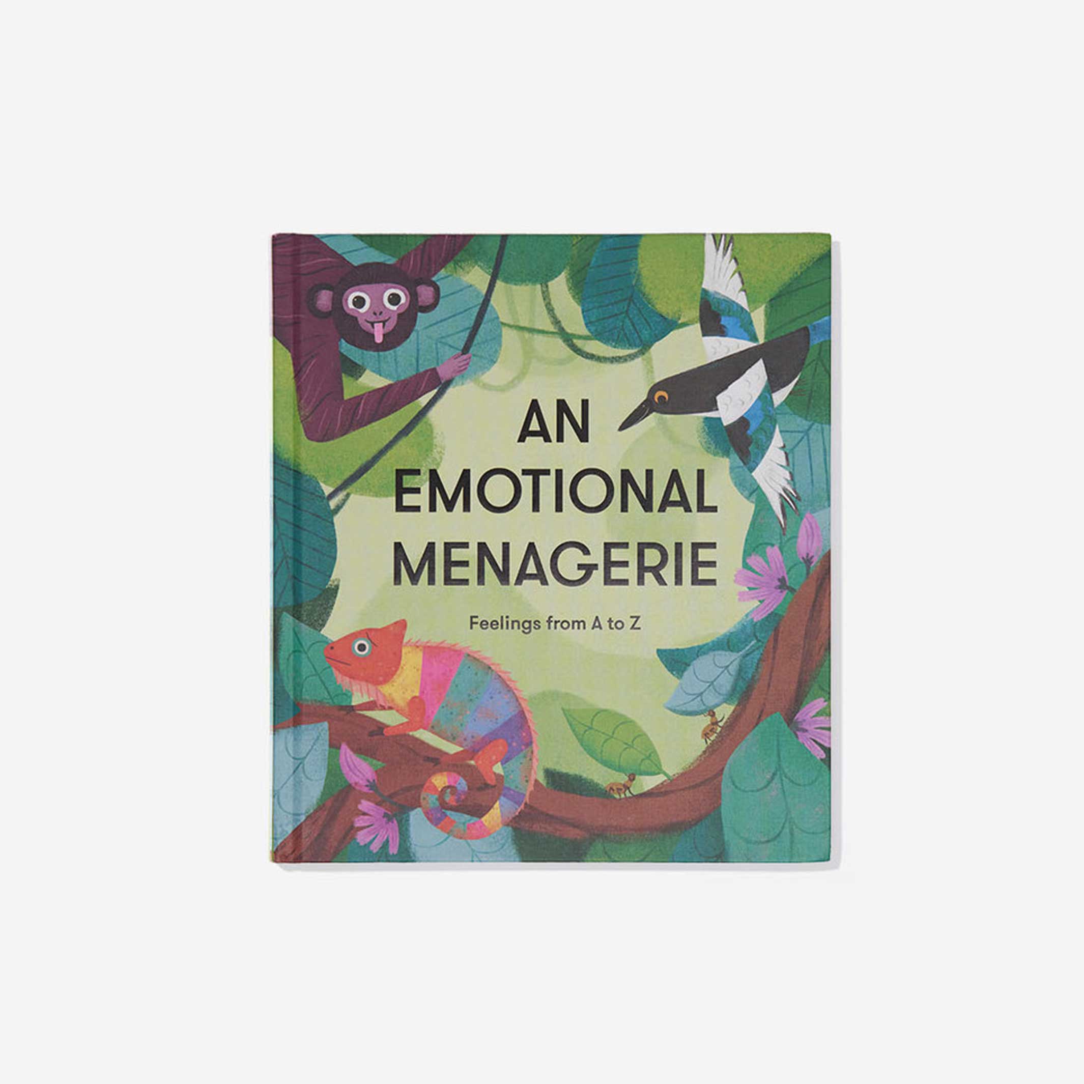 UNE MÉNAGERIE ÉMOTIONNELLE | LIVRE pour ENFANTS | Édition anglaise | The School of Life