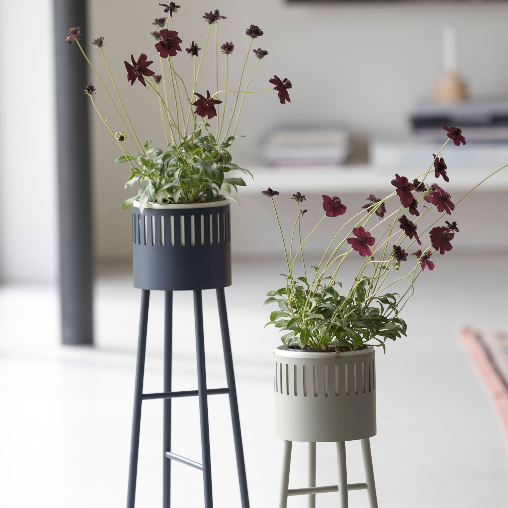 BIG HUG - Blumentopfstönder Niedrig | Hans Thyge & Co | DesignBite