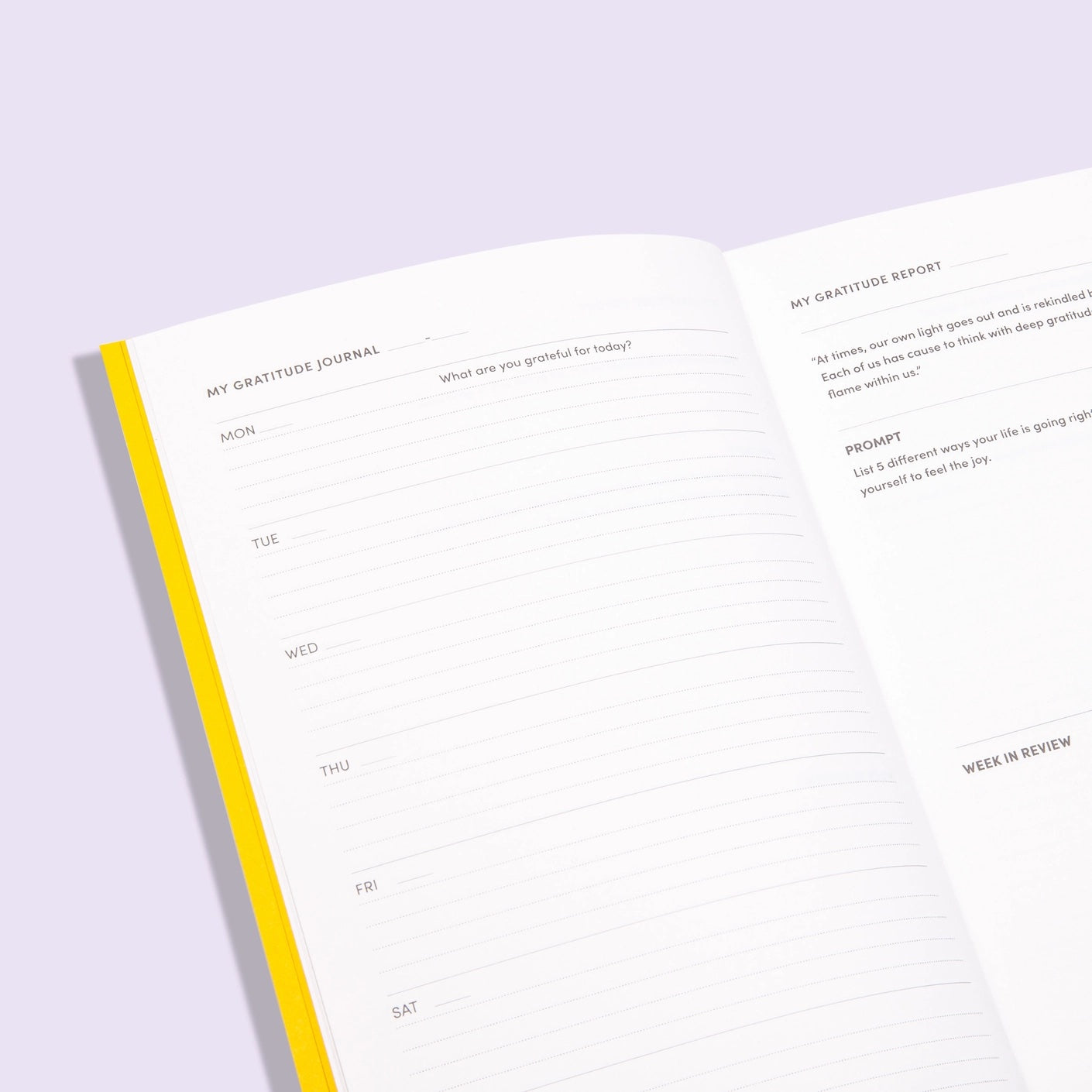 GRATITUDE | undated JOURNAL, PLANNER & DIARY for 12 months | Poketo