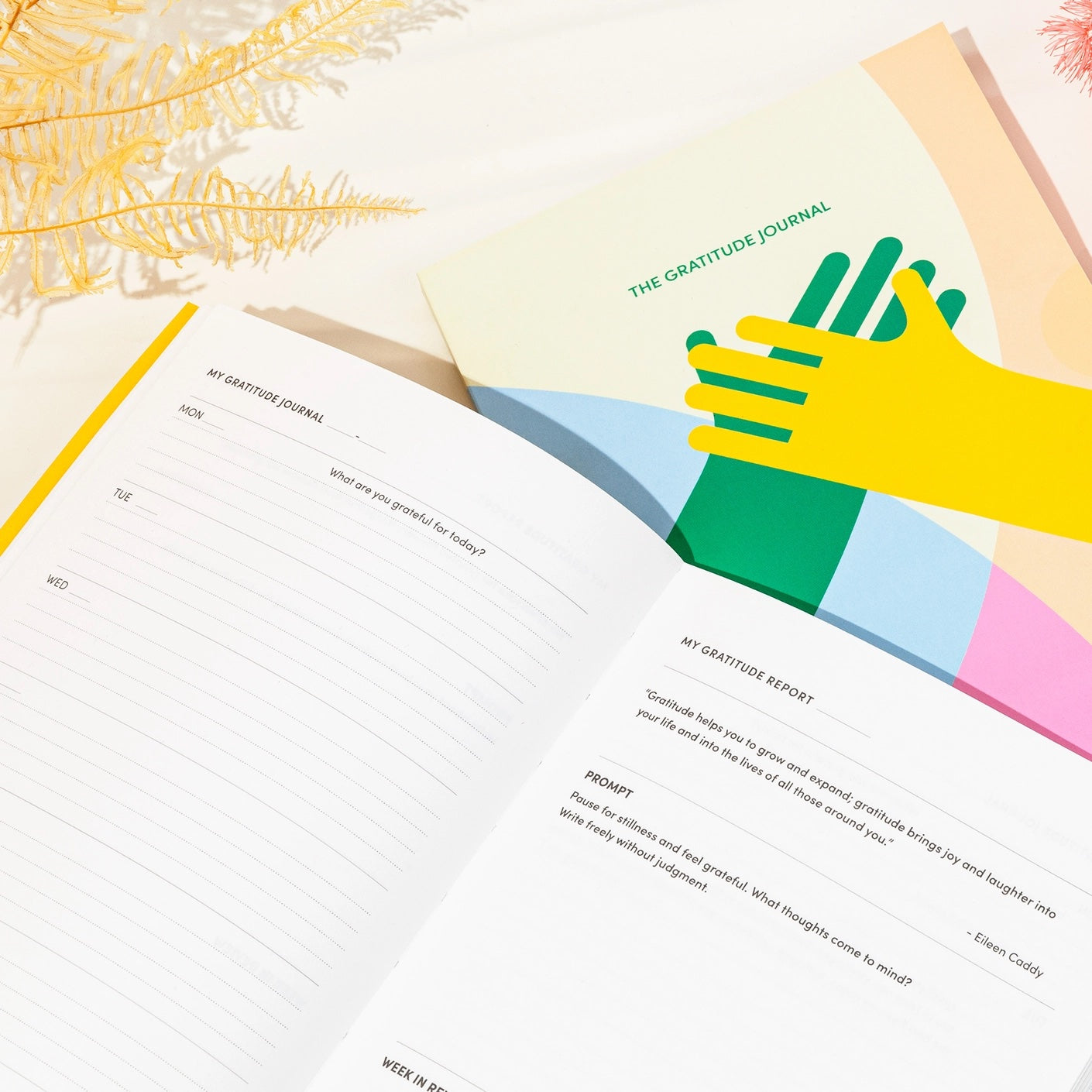 GRATITUDE - undatiertes Journal, Planer & Tagebuch für 12 Monate | Poketo