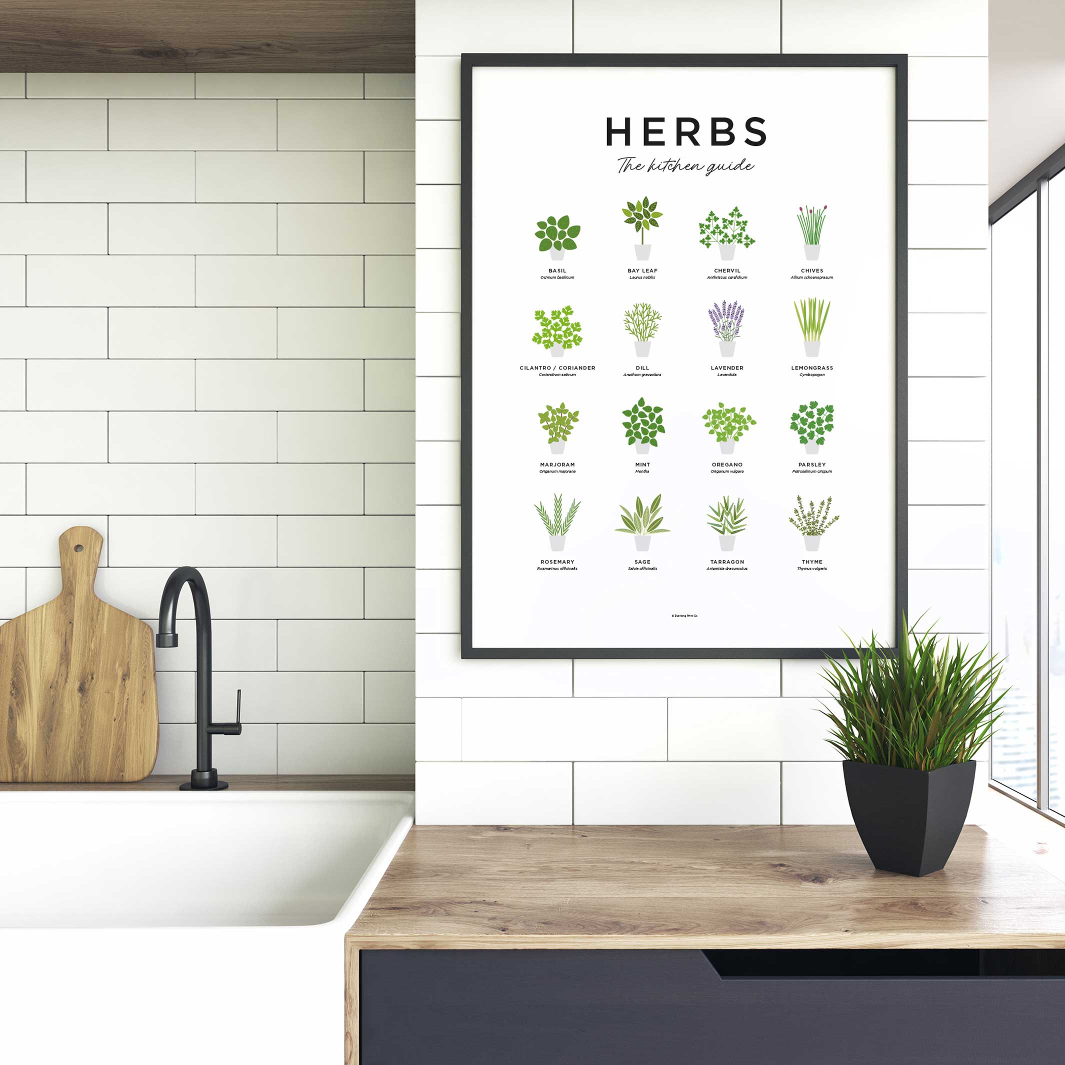 GUIDE DES HERBES - Affiche d'herbes 40x50 cm | Impression éternelle